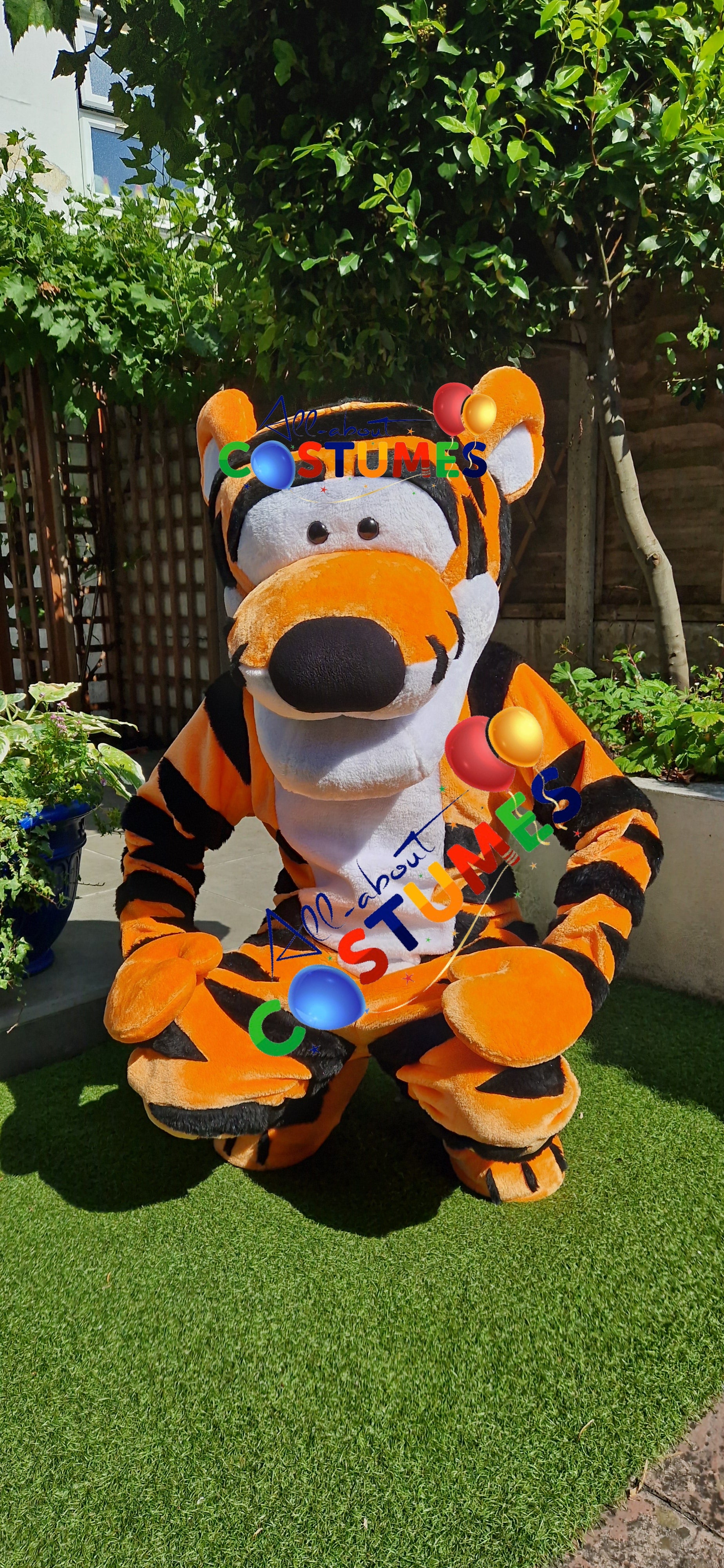 Tigger Winnie the Pooh Bear