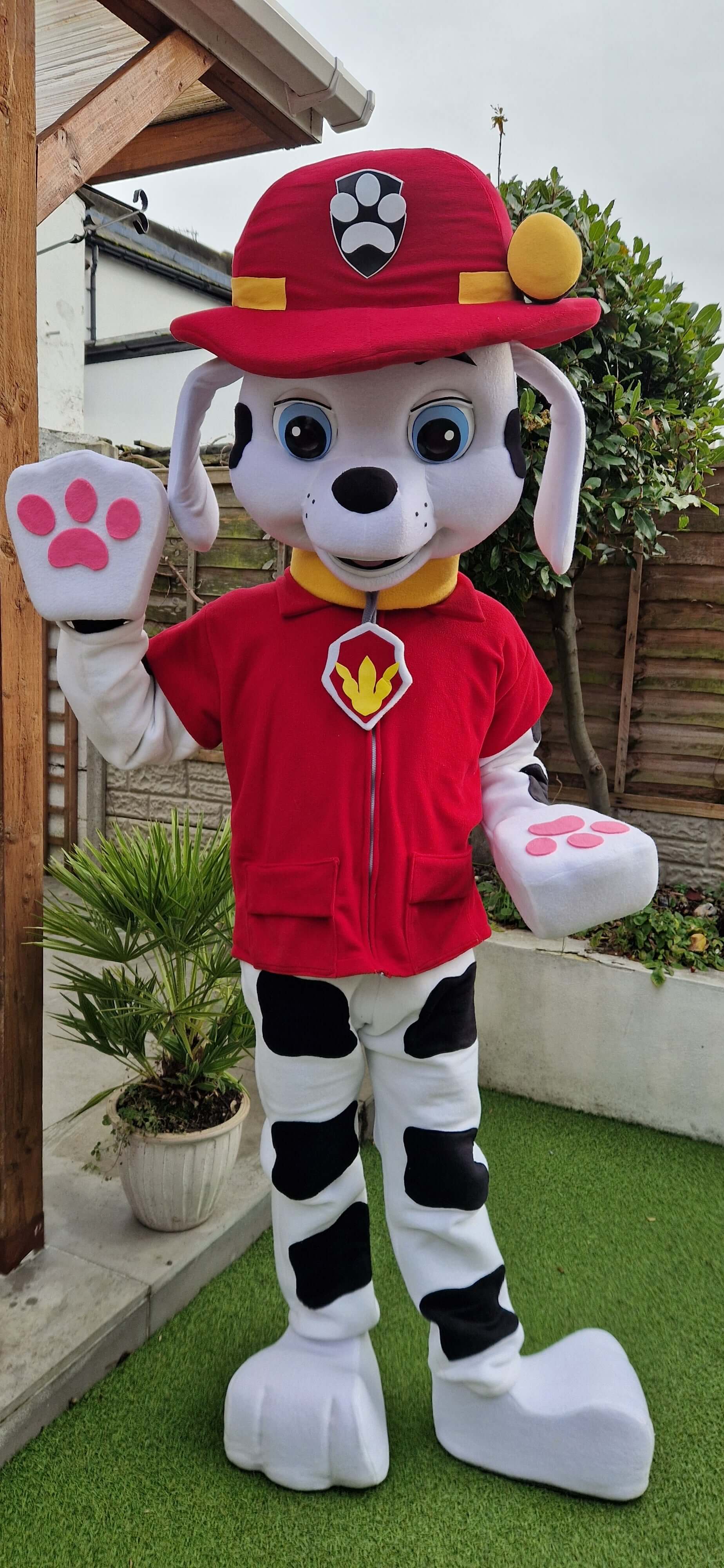 Paw Patrol Marshall with Pink Paws B