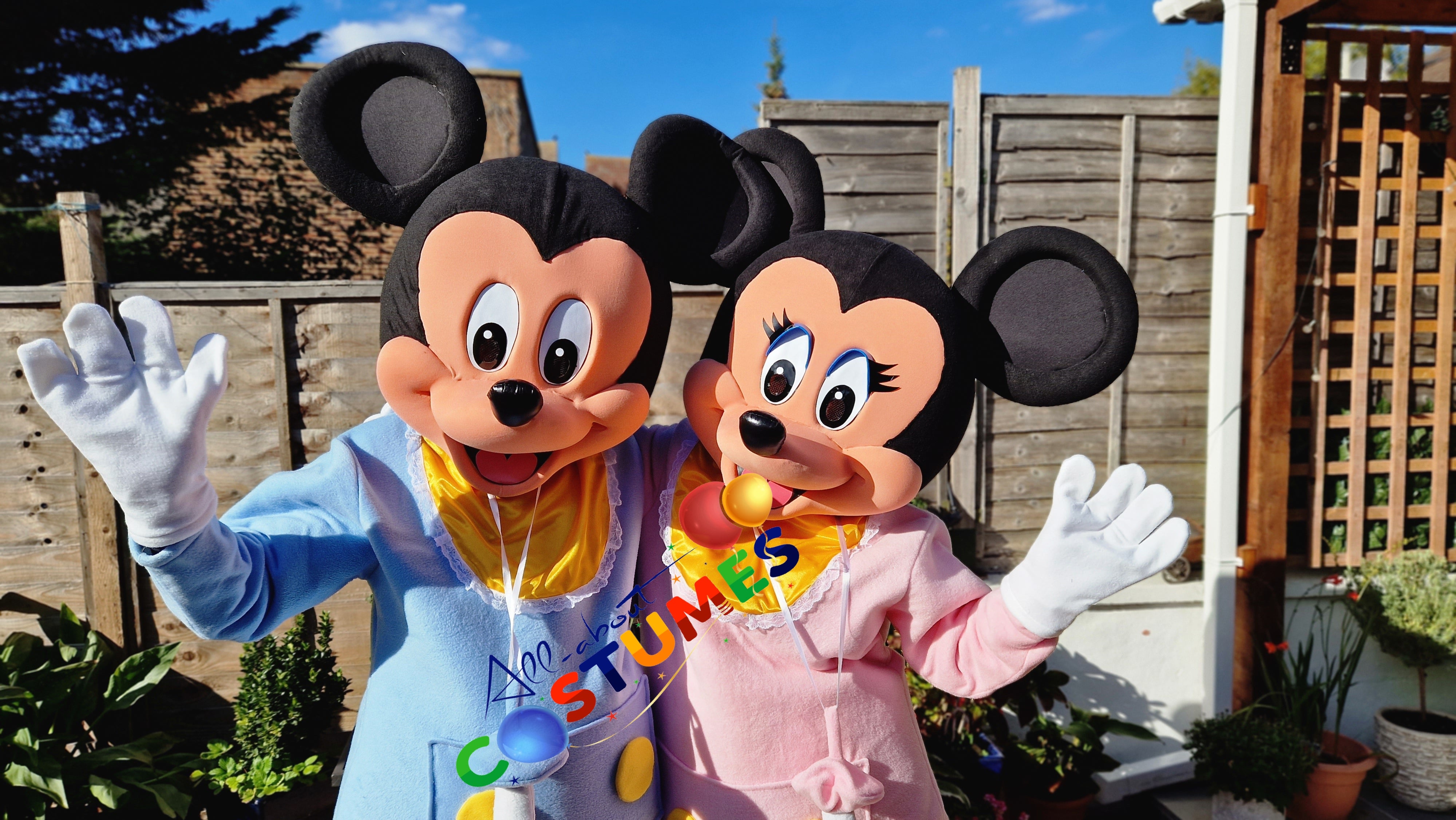 SAB Mickey y Minnie REVELACIÓN DE GÉNERO