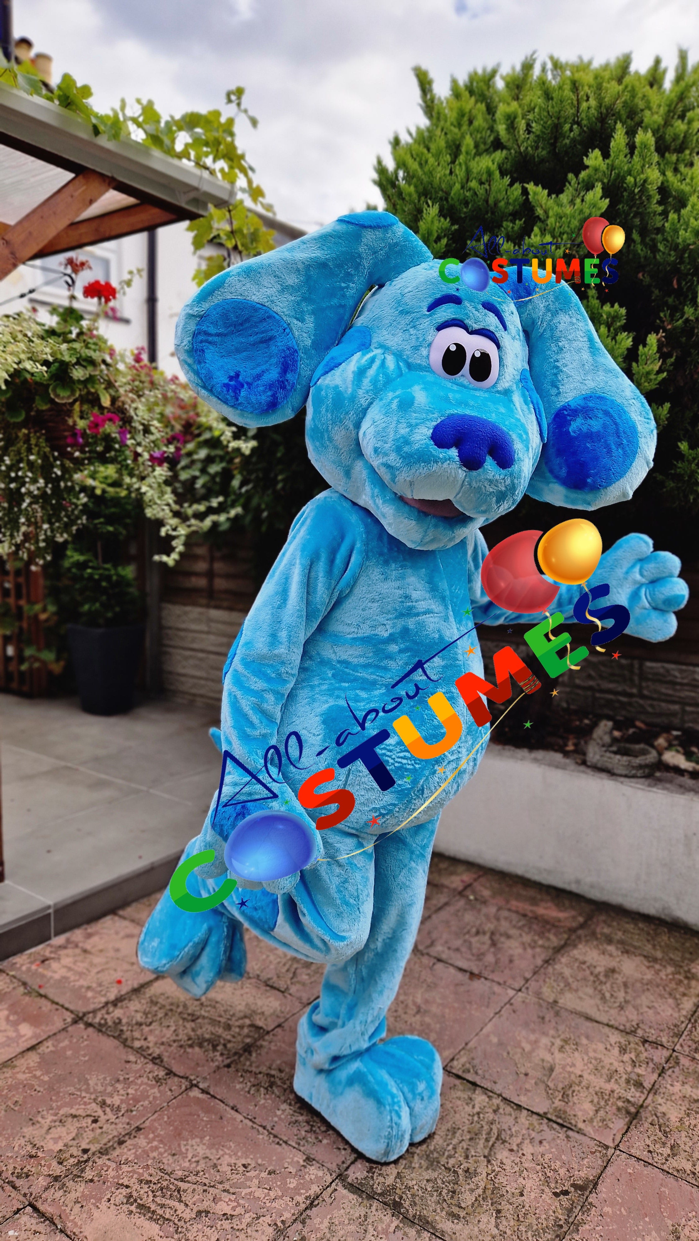 Blue's Clues and You