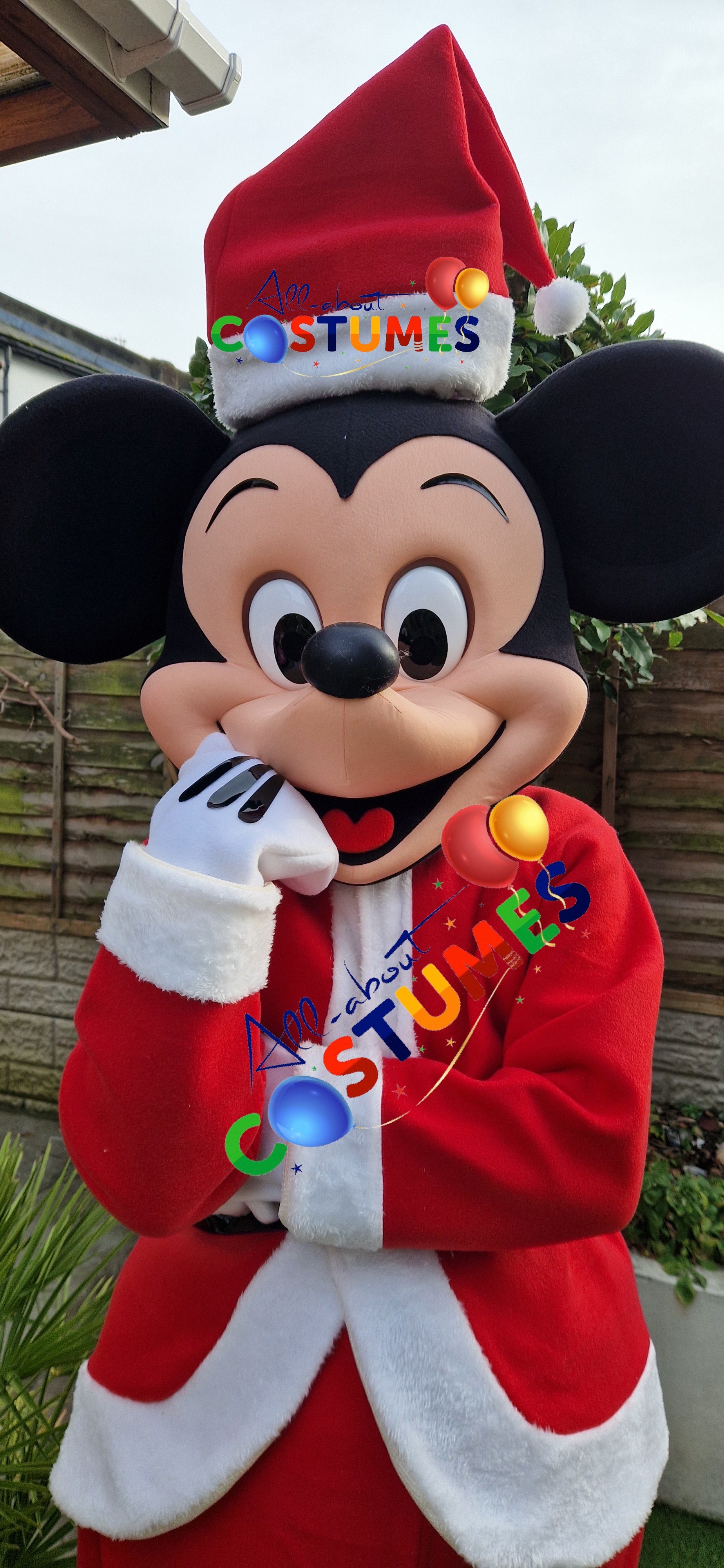 Z Elf en el estante Navidad