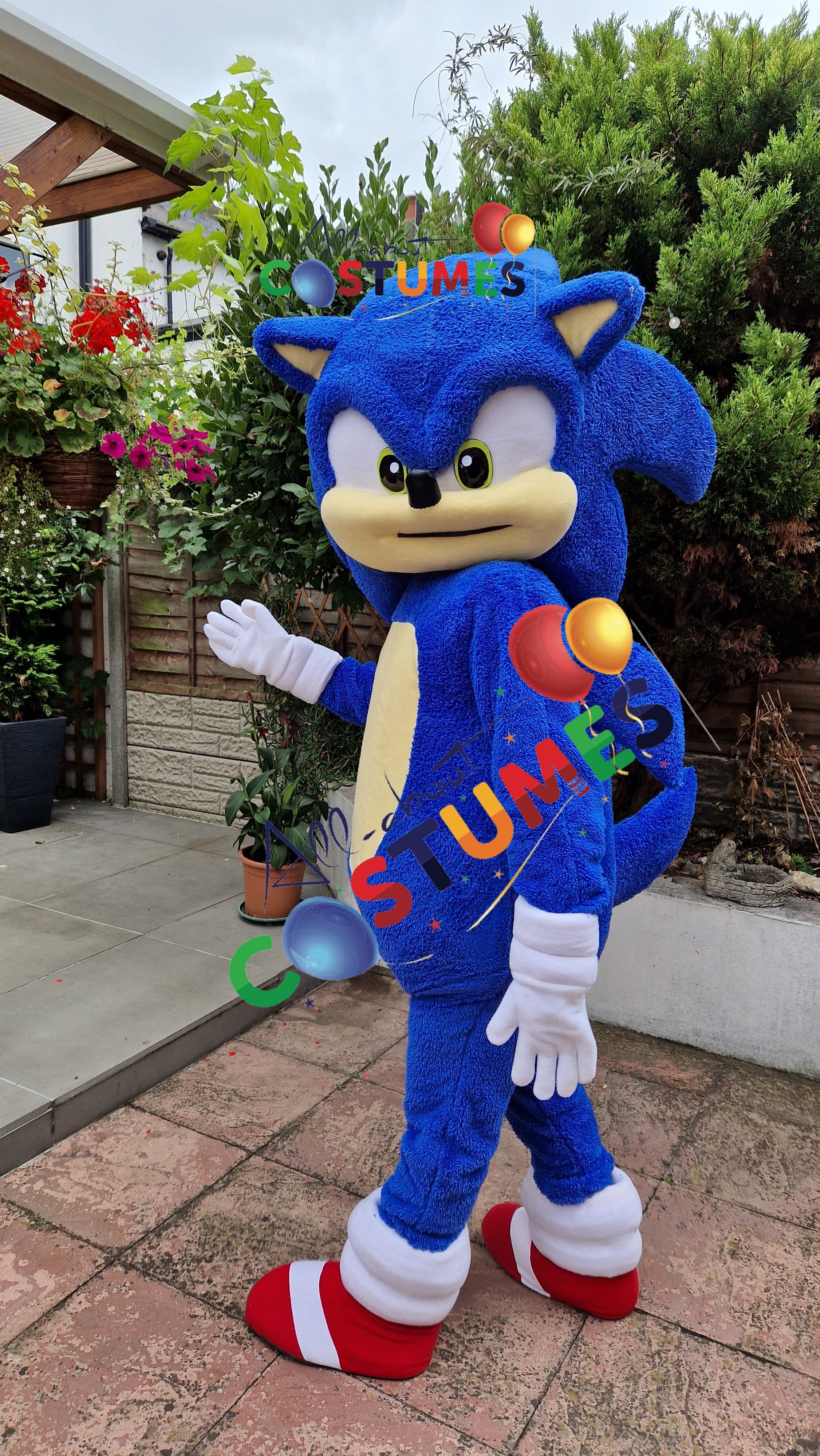 Sonic el erizo Edición limitada