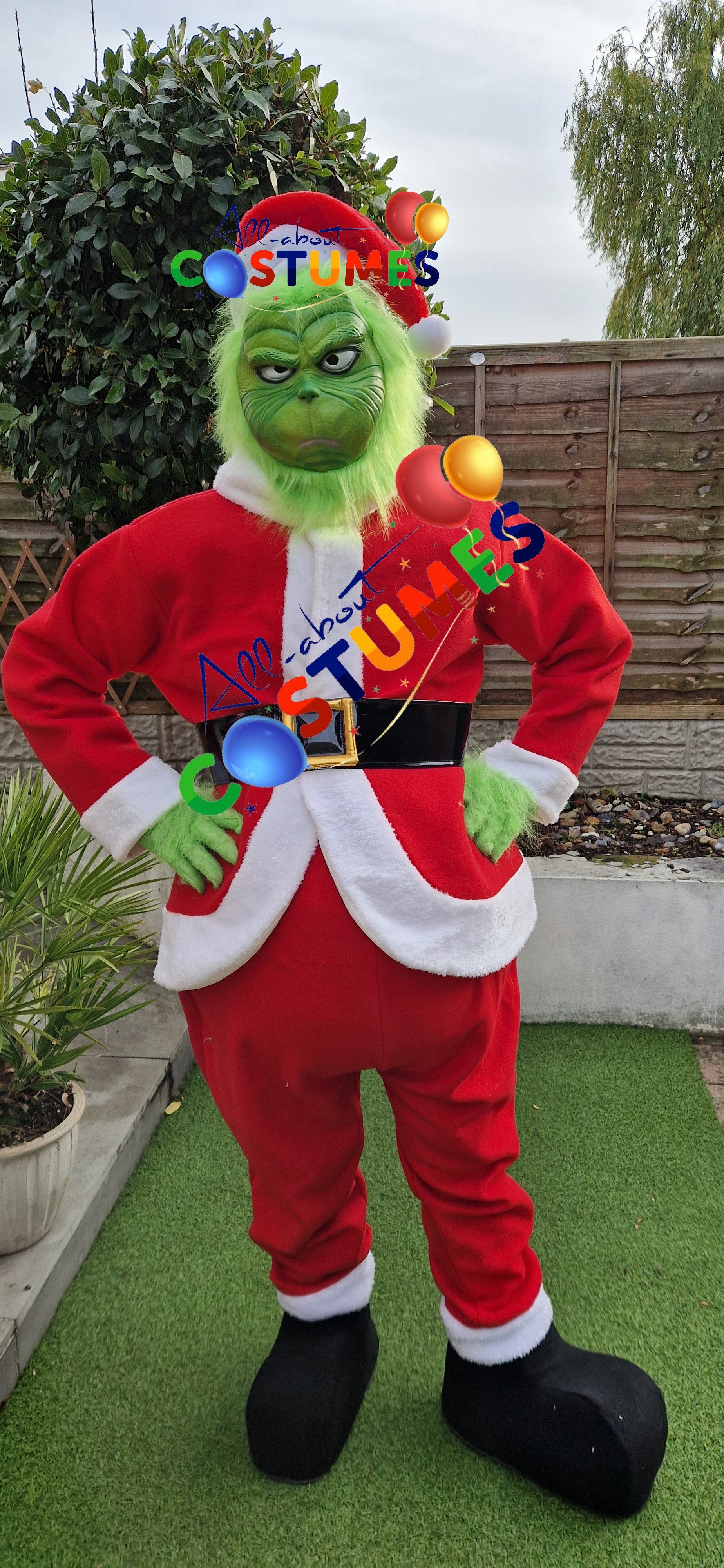 Z Elf en el estante Navidad