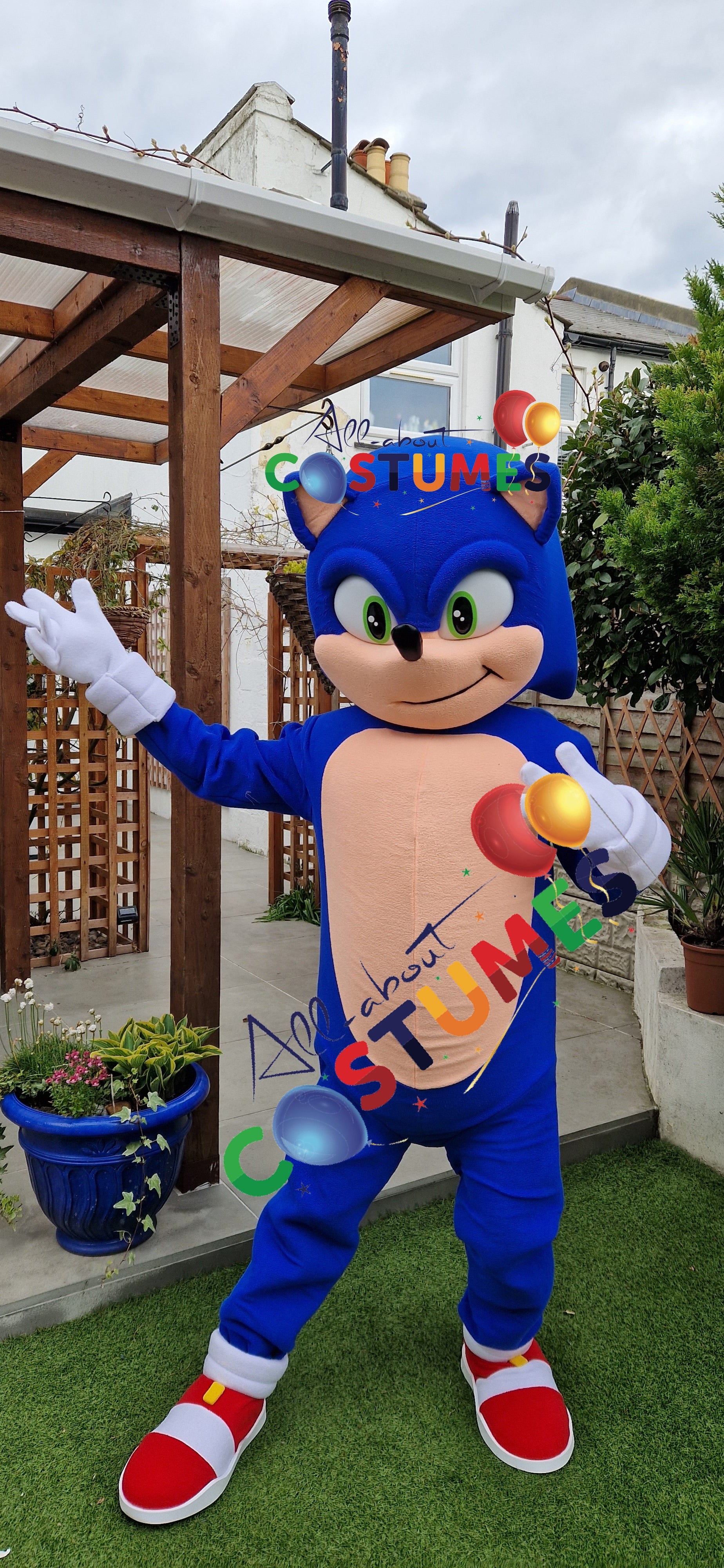 Sonic rápido de lujo