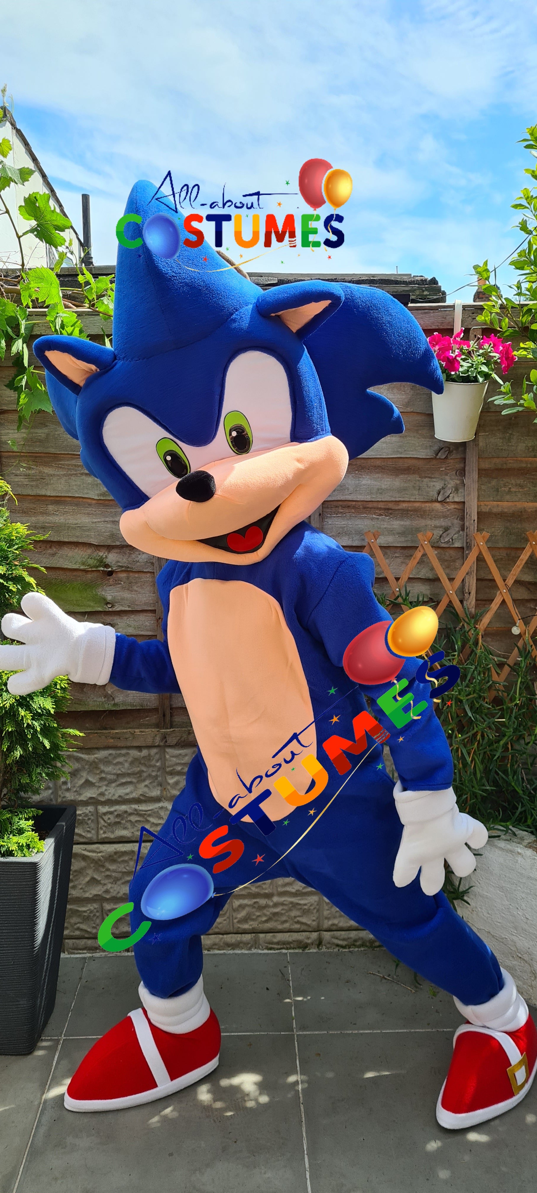Sonic el erizo