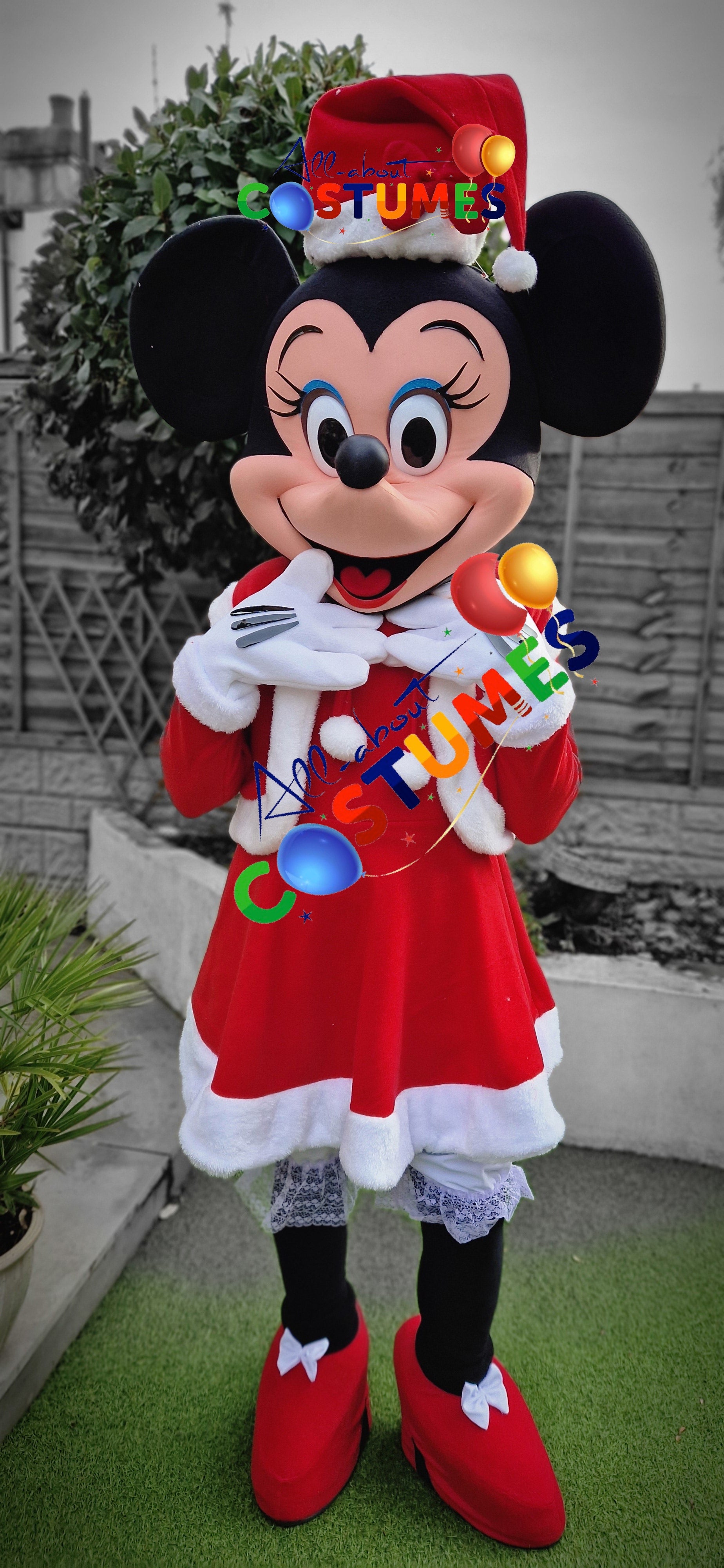 Z Elf en el estante Navidad