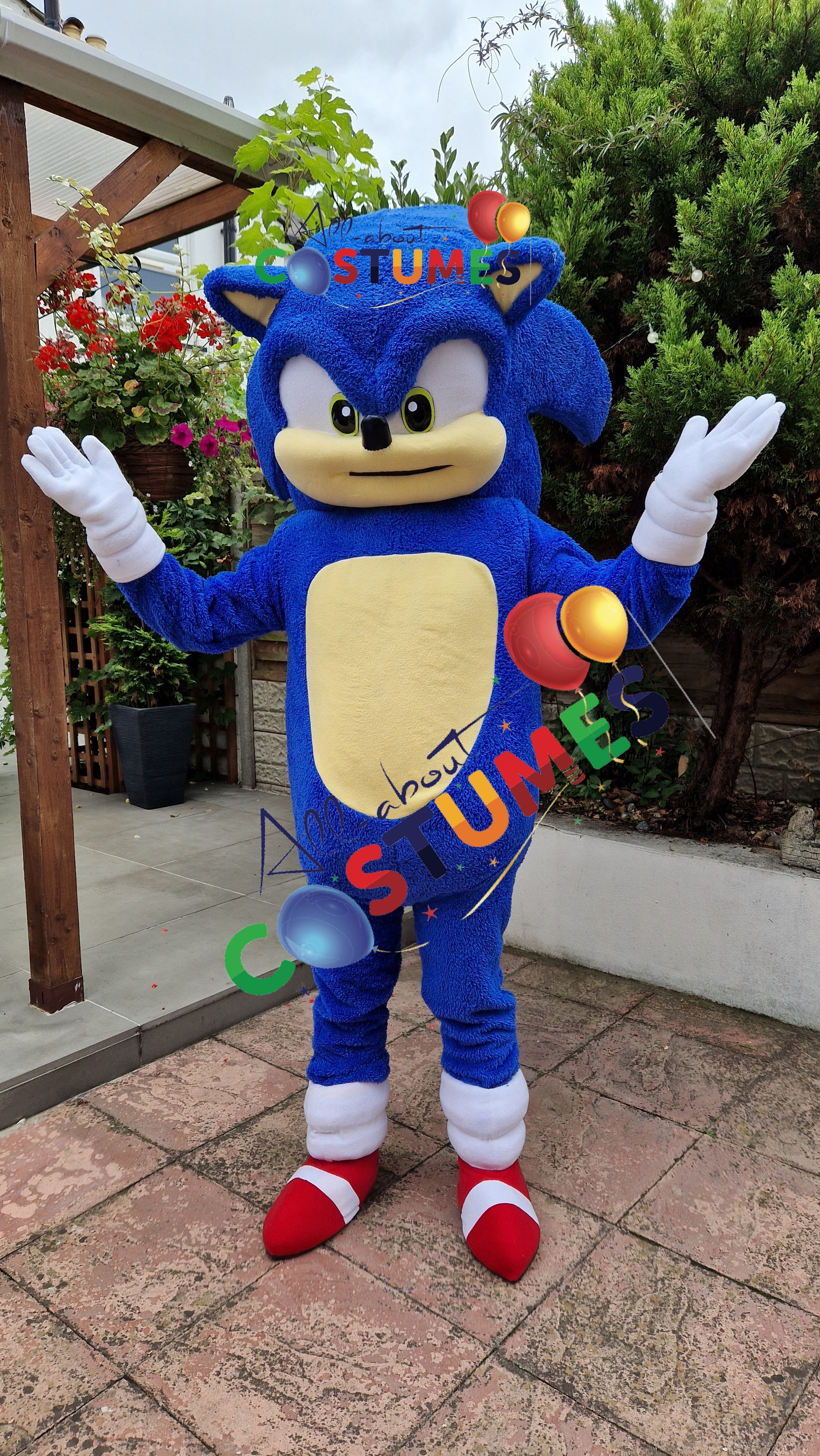 Sonic el erizo Edición limitada
