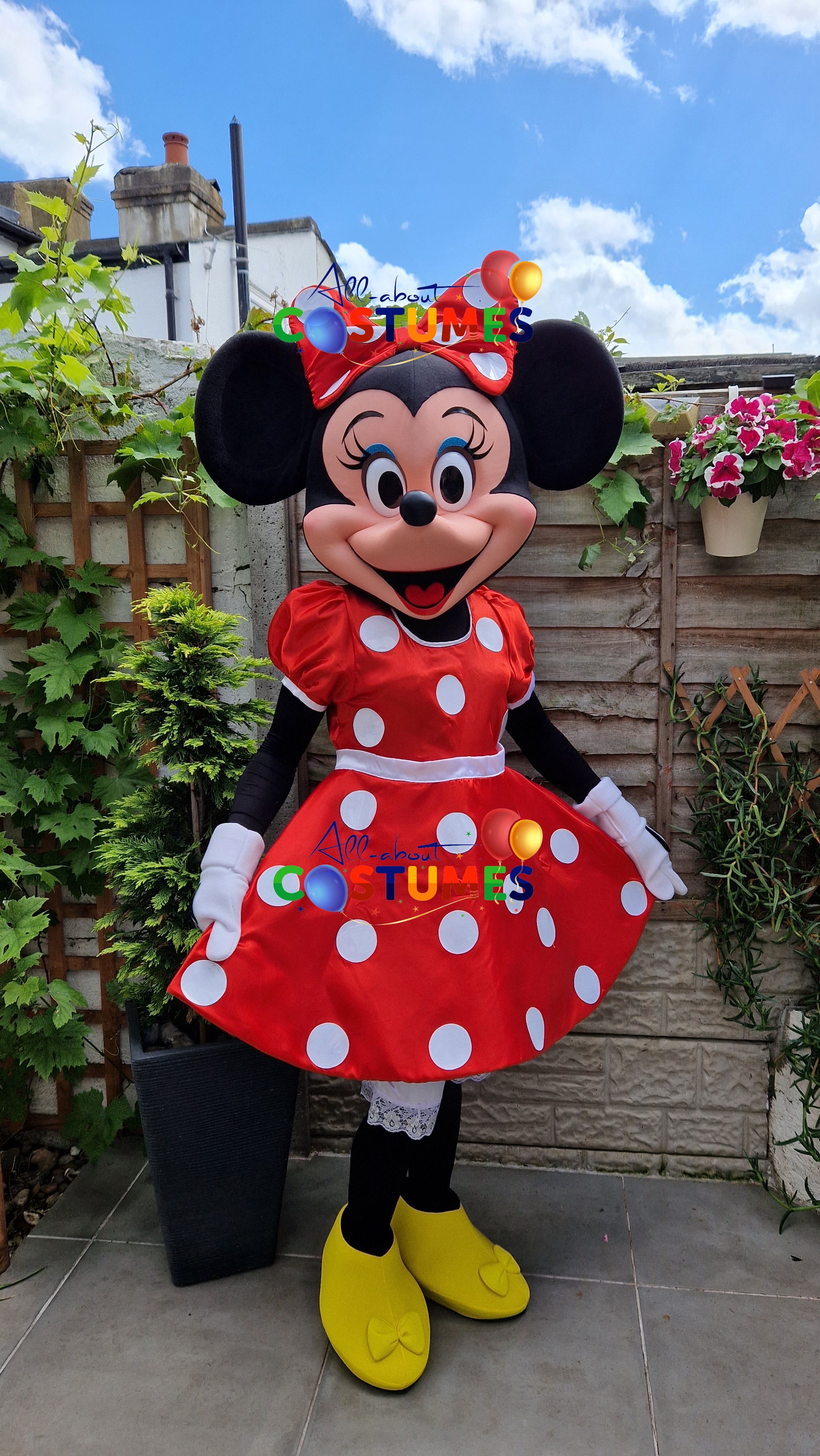 Disfraz de Minnie Mouse