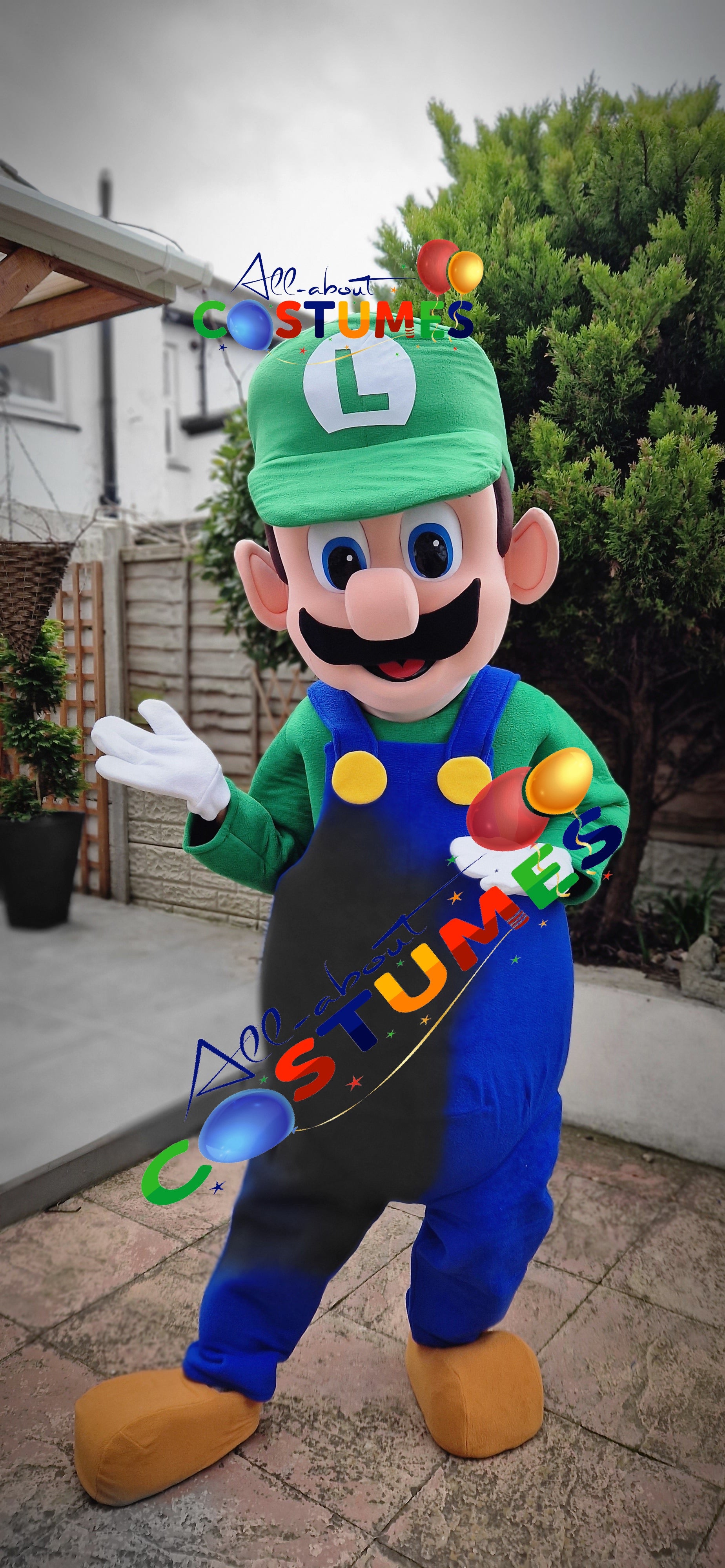 luigi