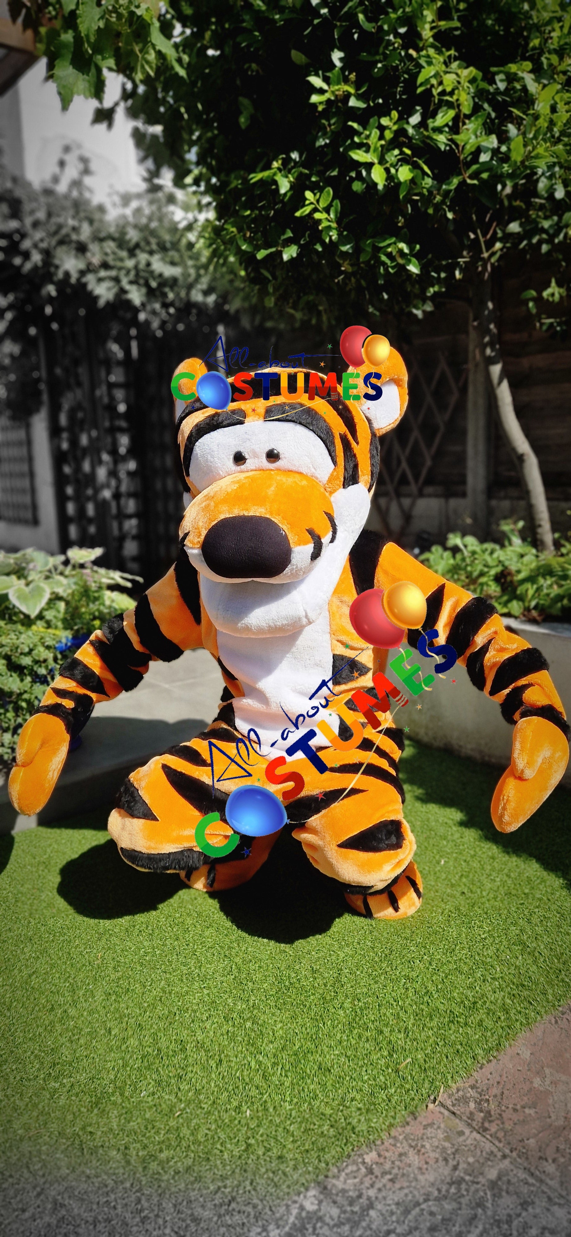 Tigger Winnie the Pooh Bear