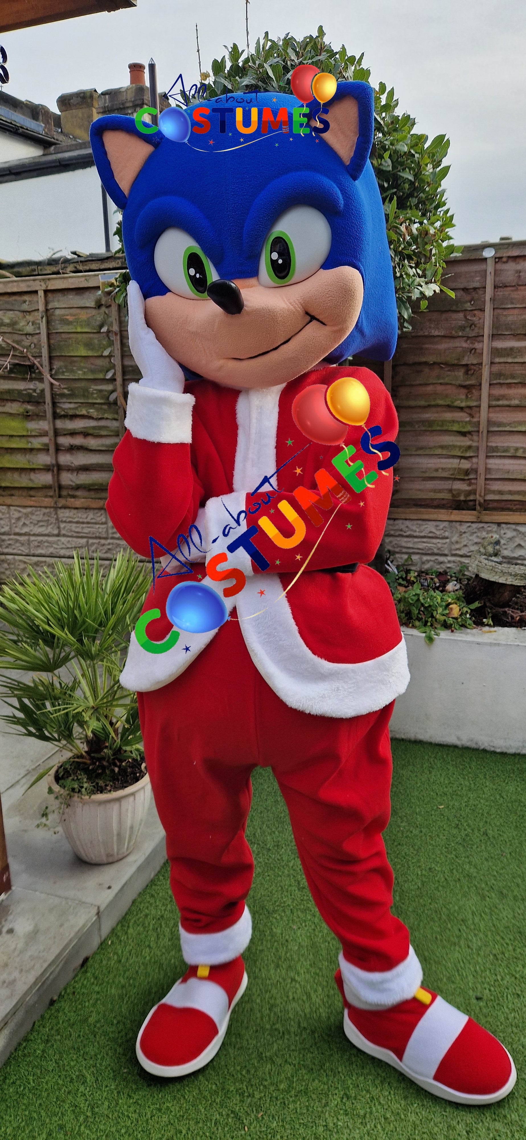 Z Elf en el estante Navidad