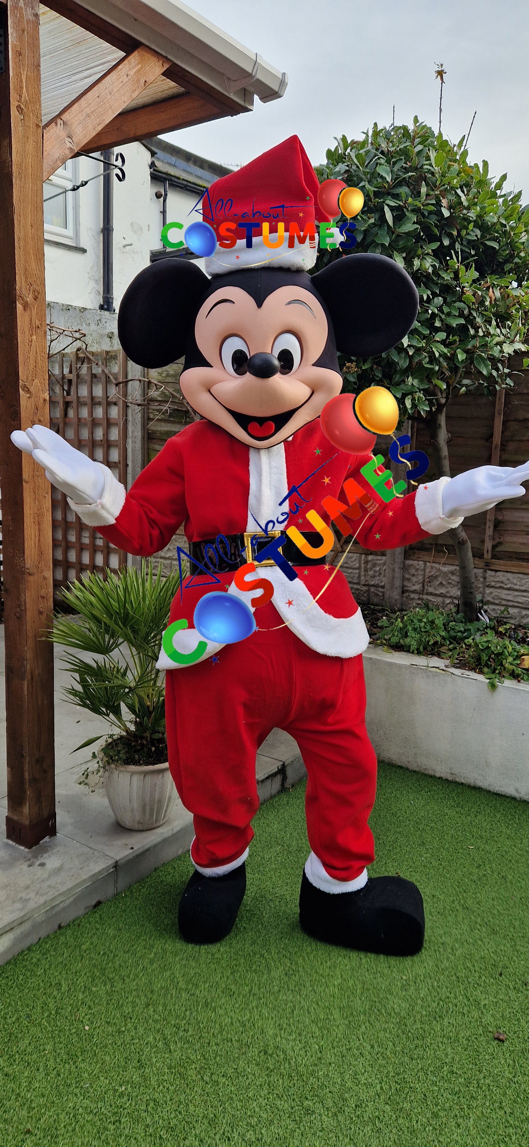 Z Elf en el estante Navidad