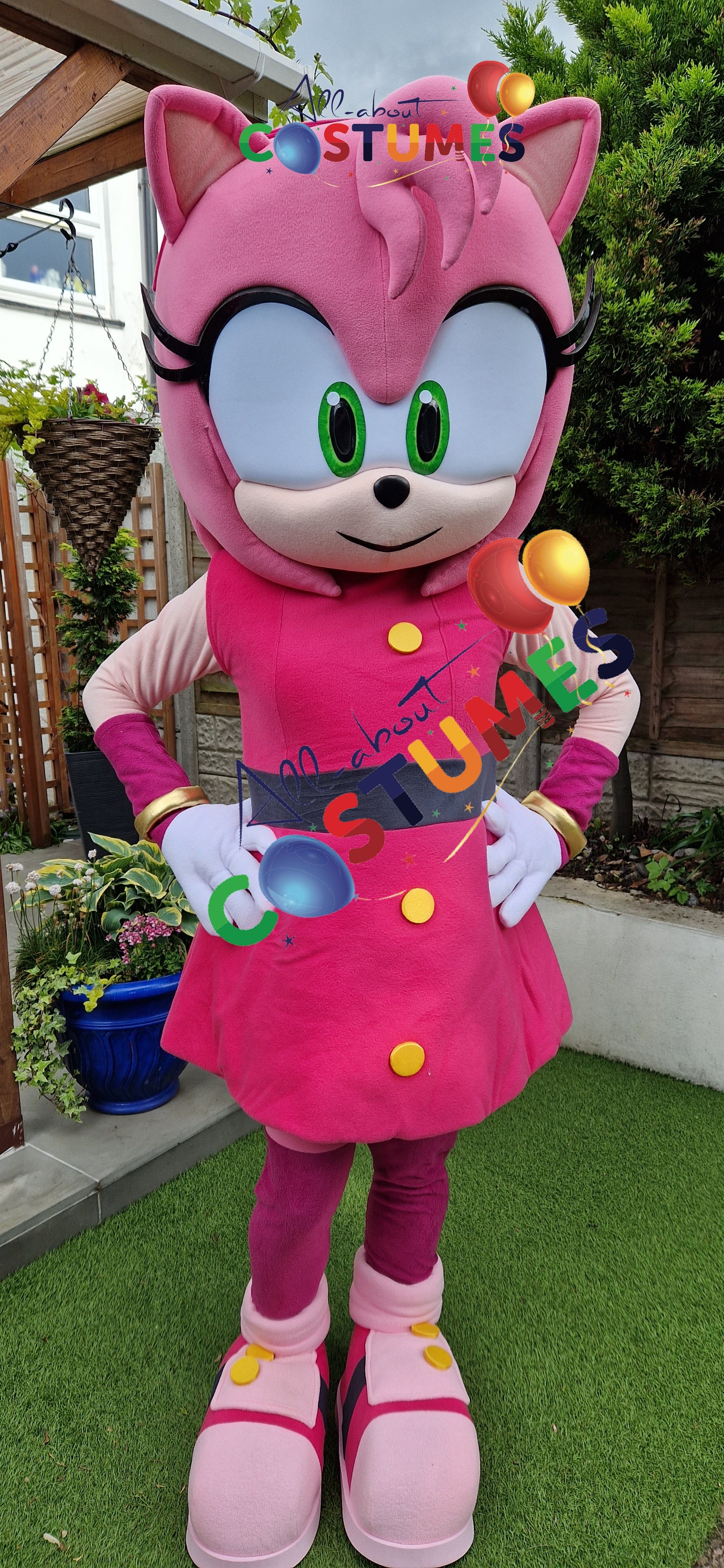 Amy Rose Sonic X