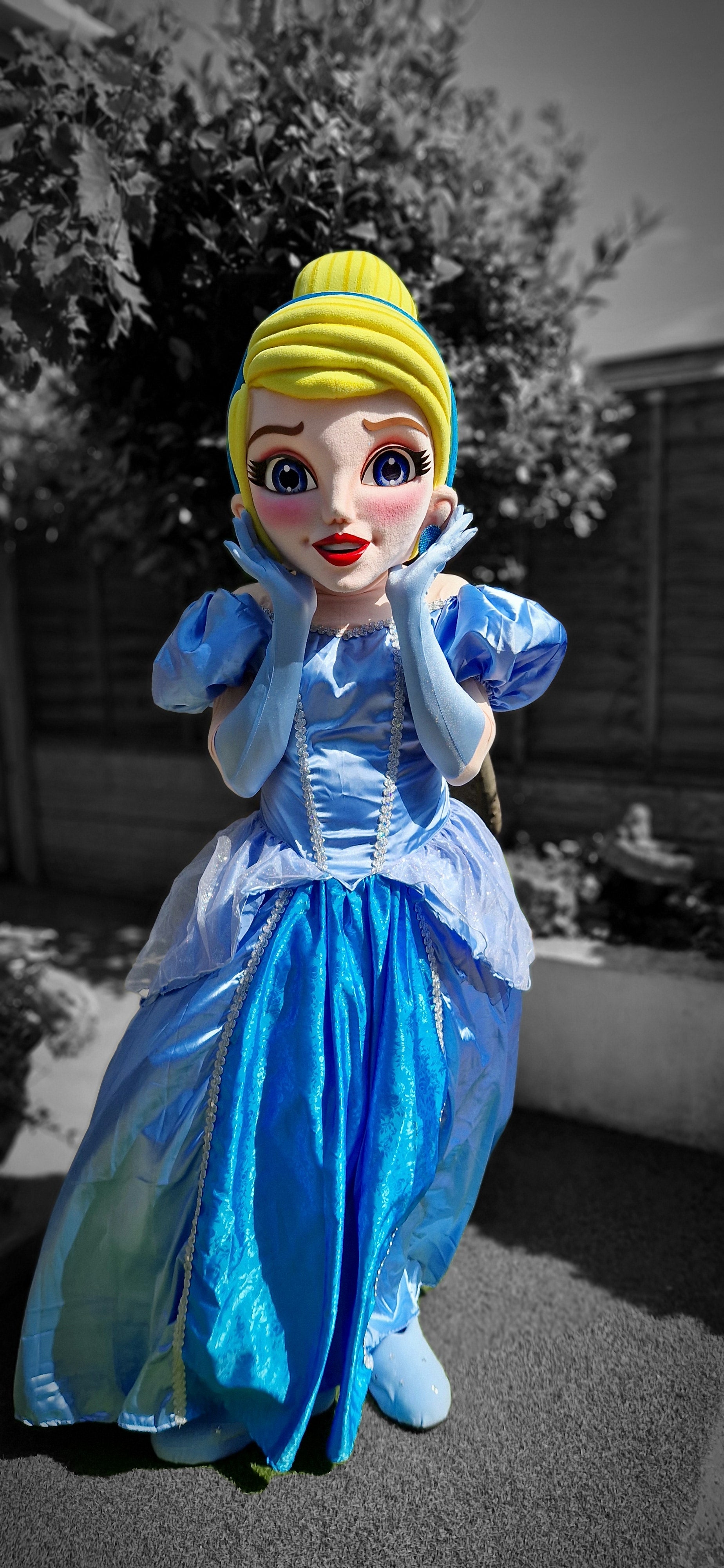 Patrulla Canina Ryder