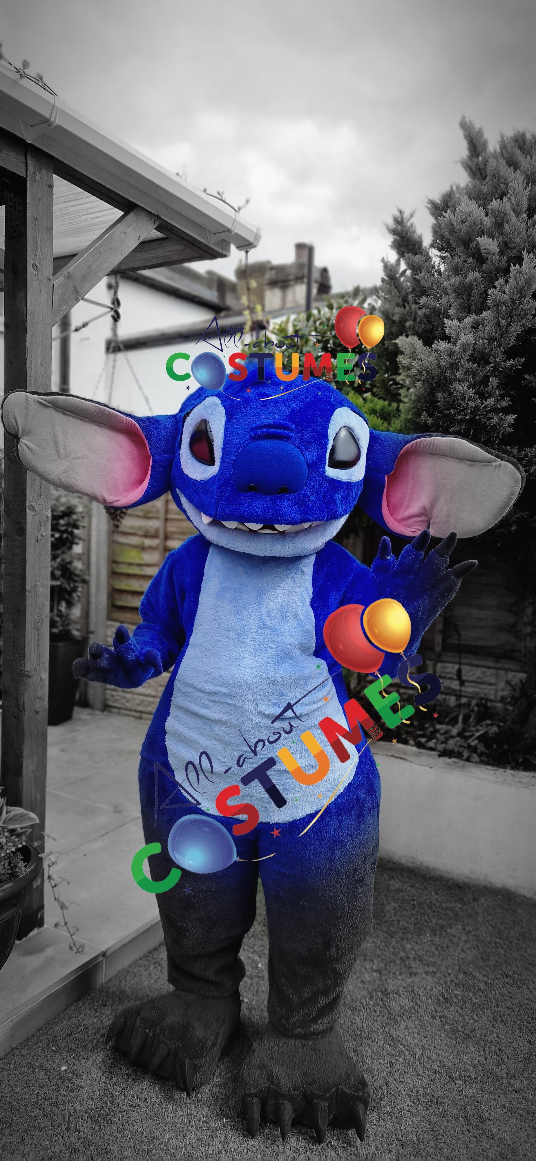 Stitch