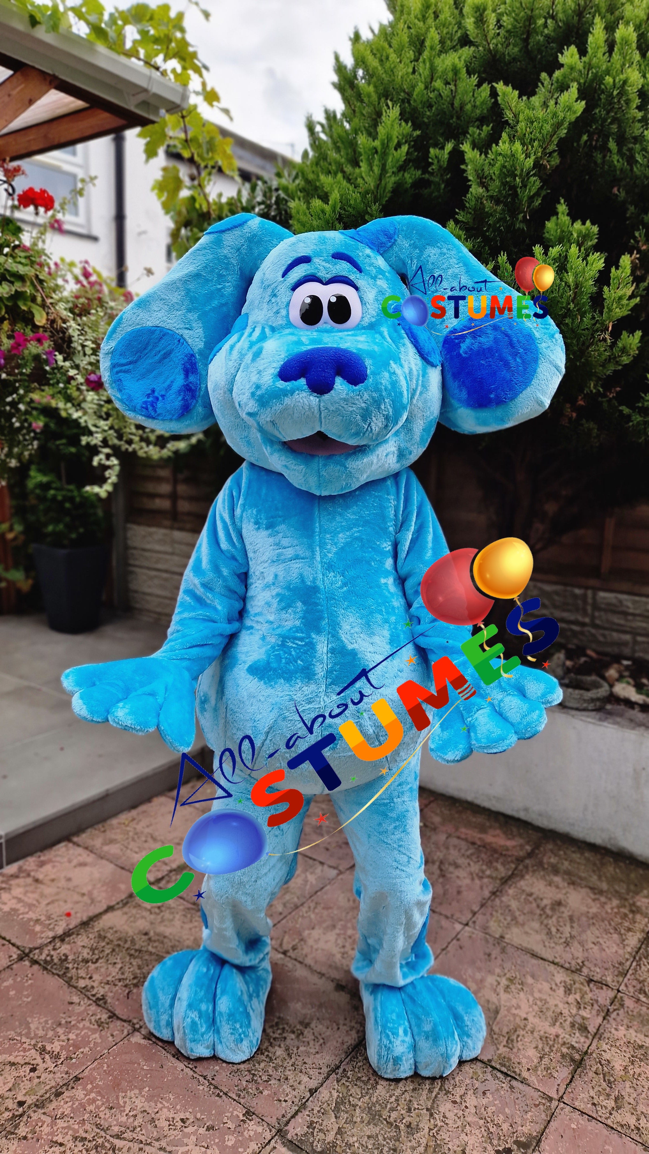 Blue's Clues and You