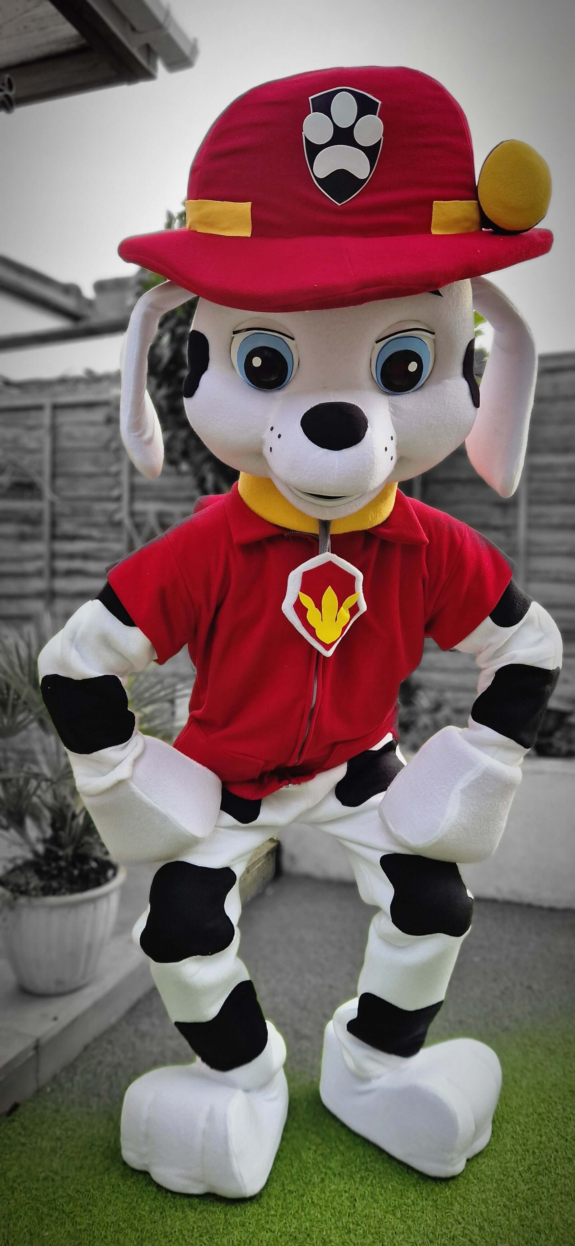 Paw Patrol Marshall with Pink Paws B