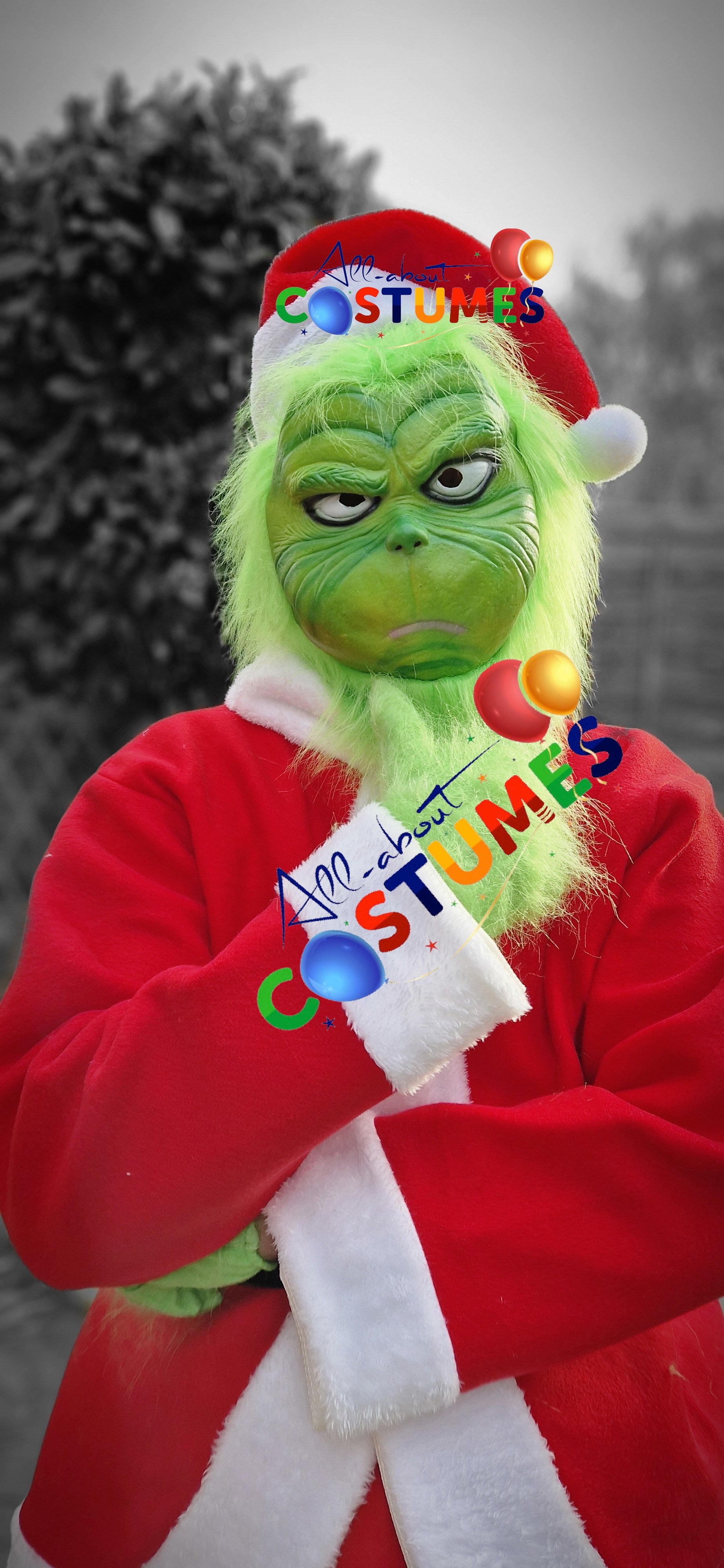 Z Elf en el estante Navidad