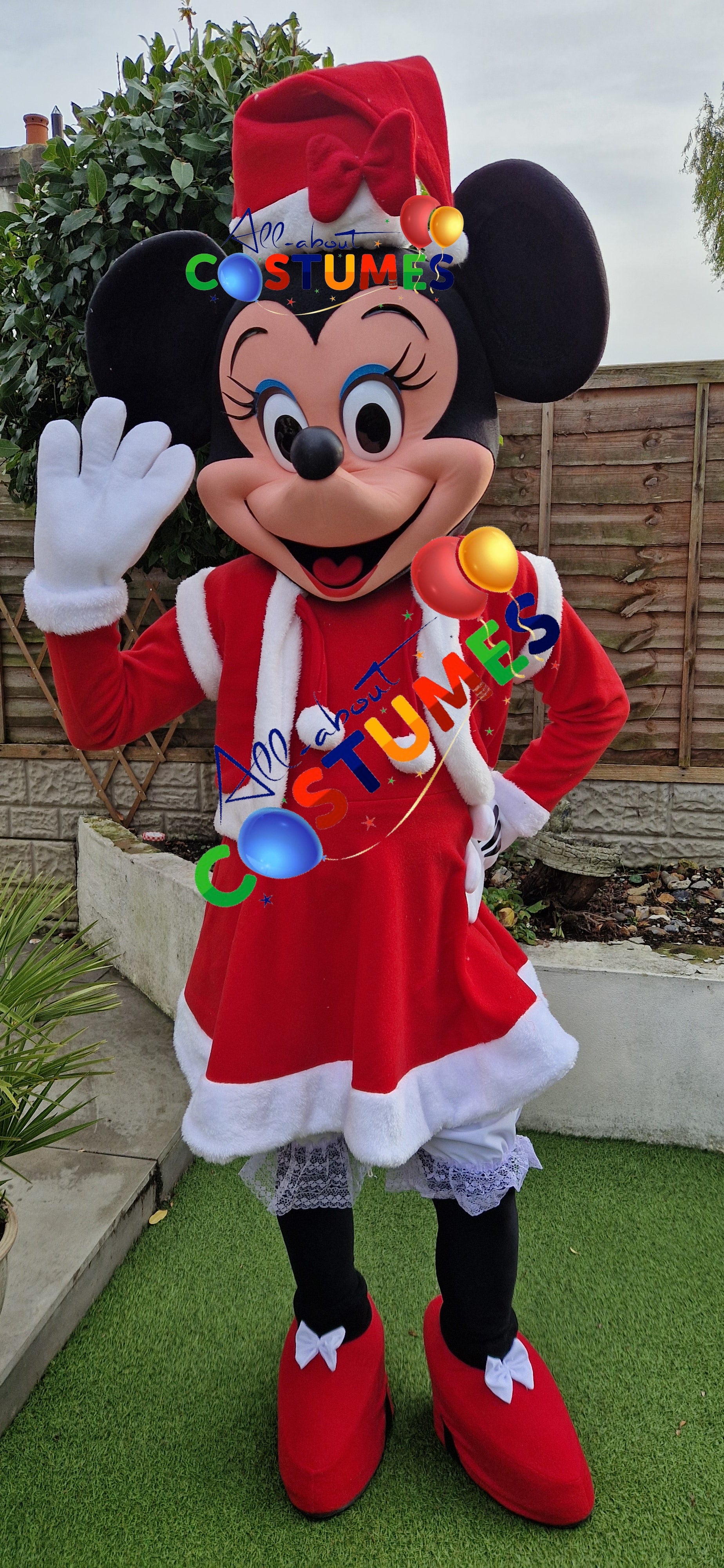 Z Elf en el estante Navidad