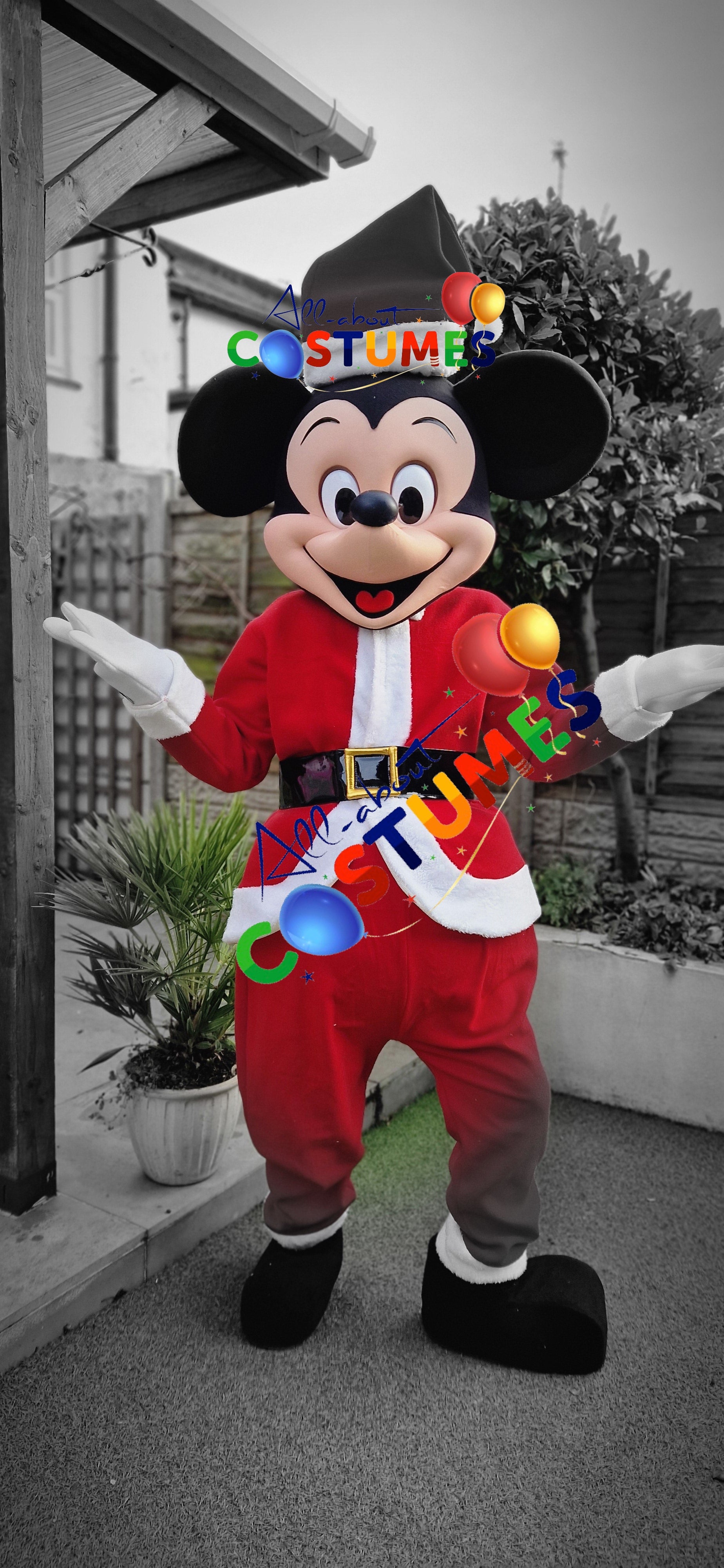 Z Elf en el estante Navidad