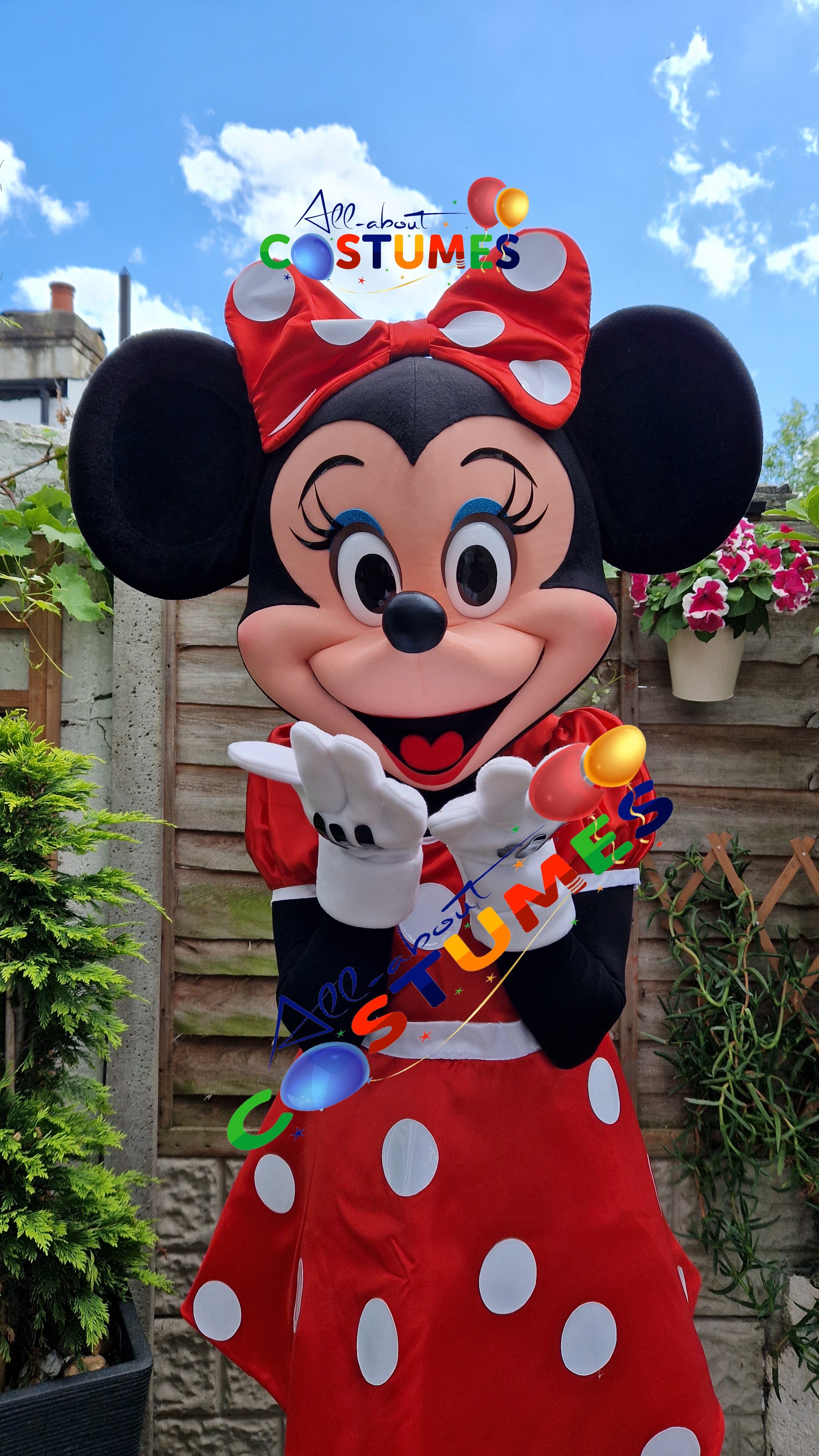 Disfraz de Minnie Mouse