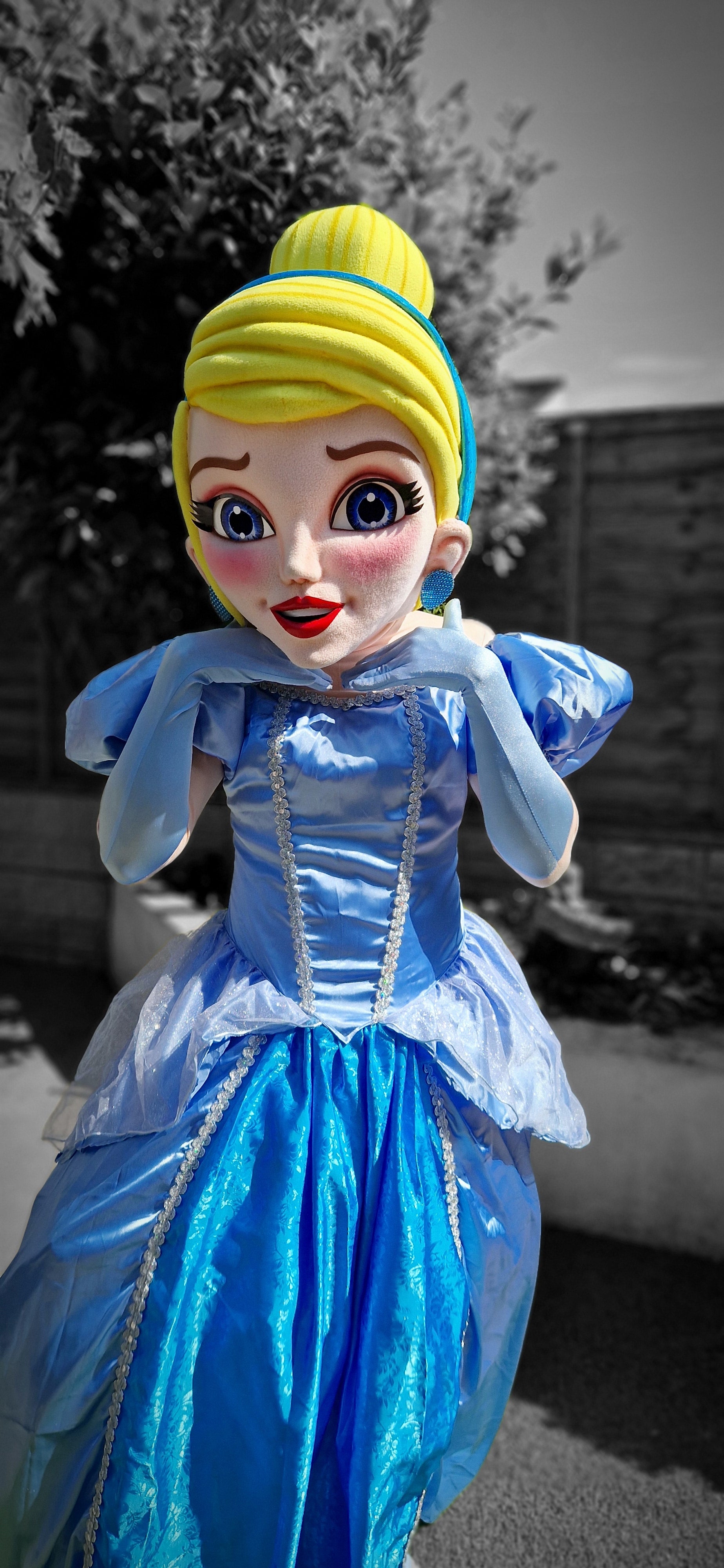 Patrulla Canina Ryder