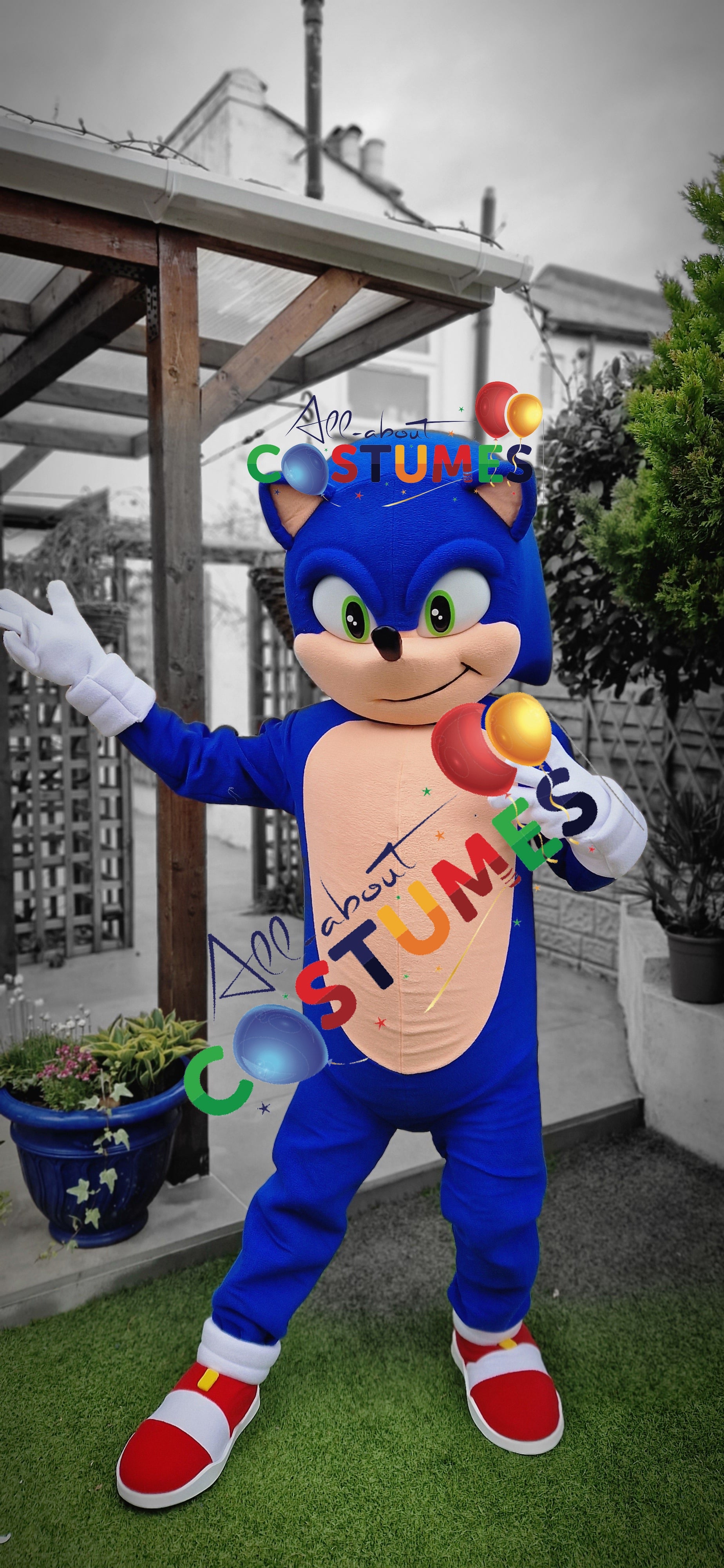 Sonic rápido de lujo