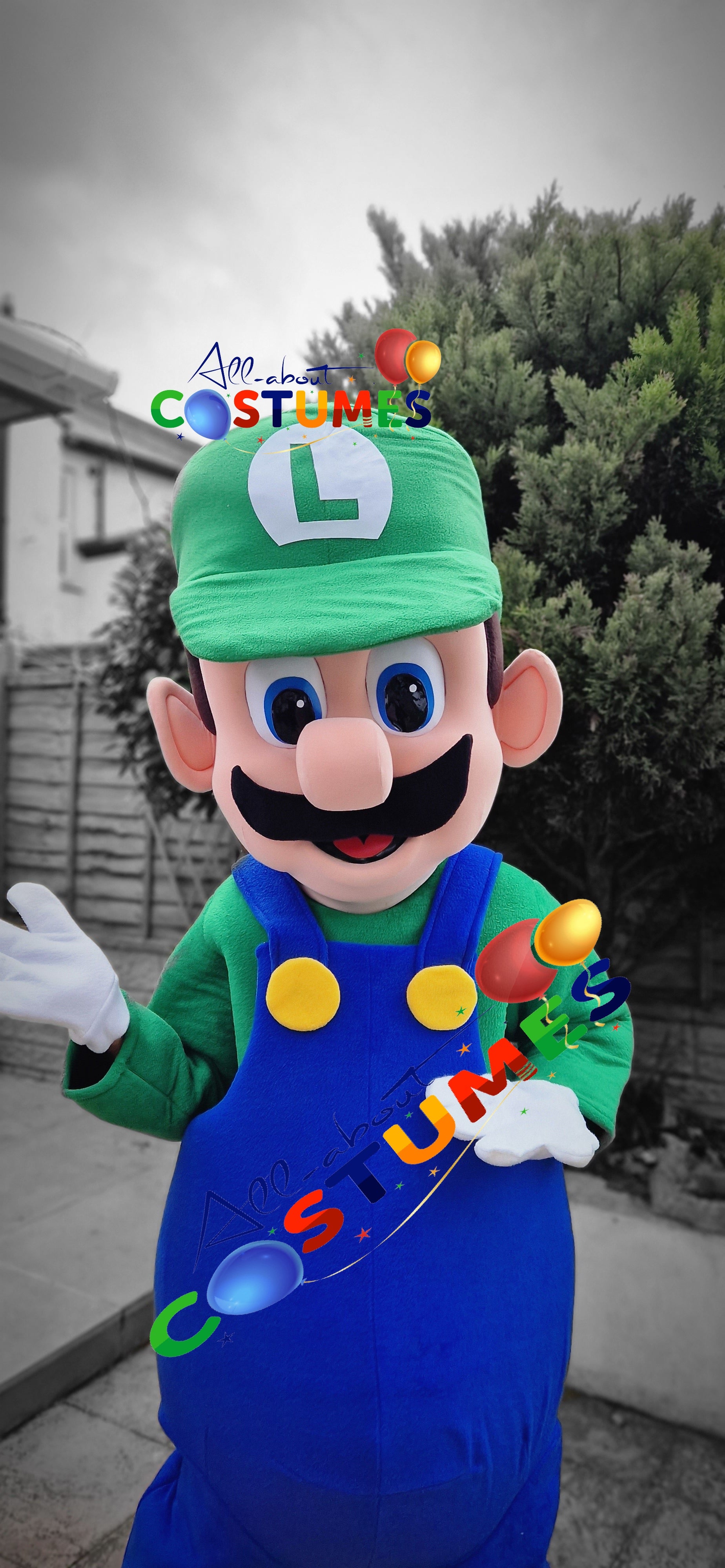 luigi