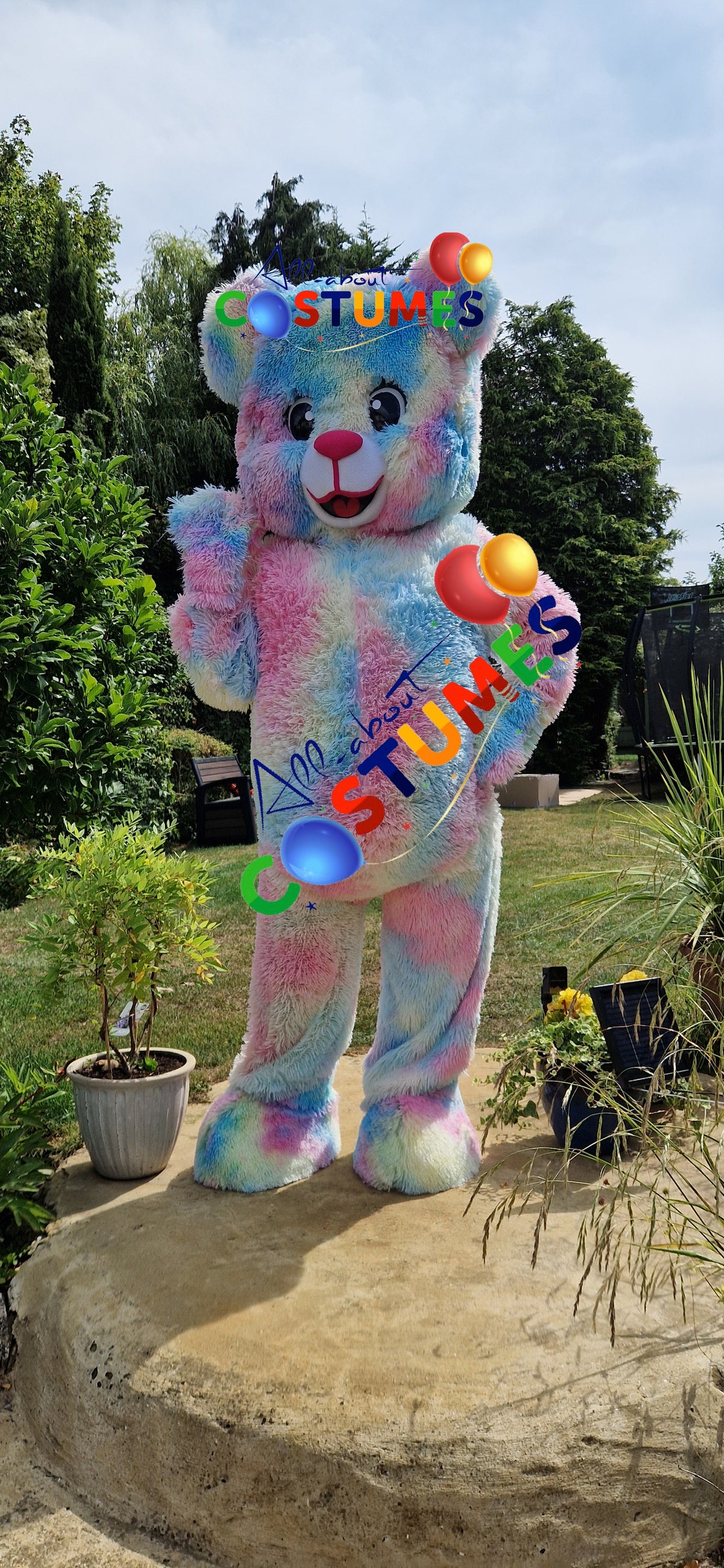 Teddy Bear Multi