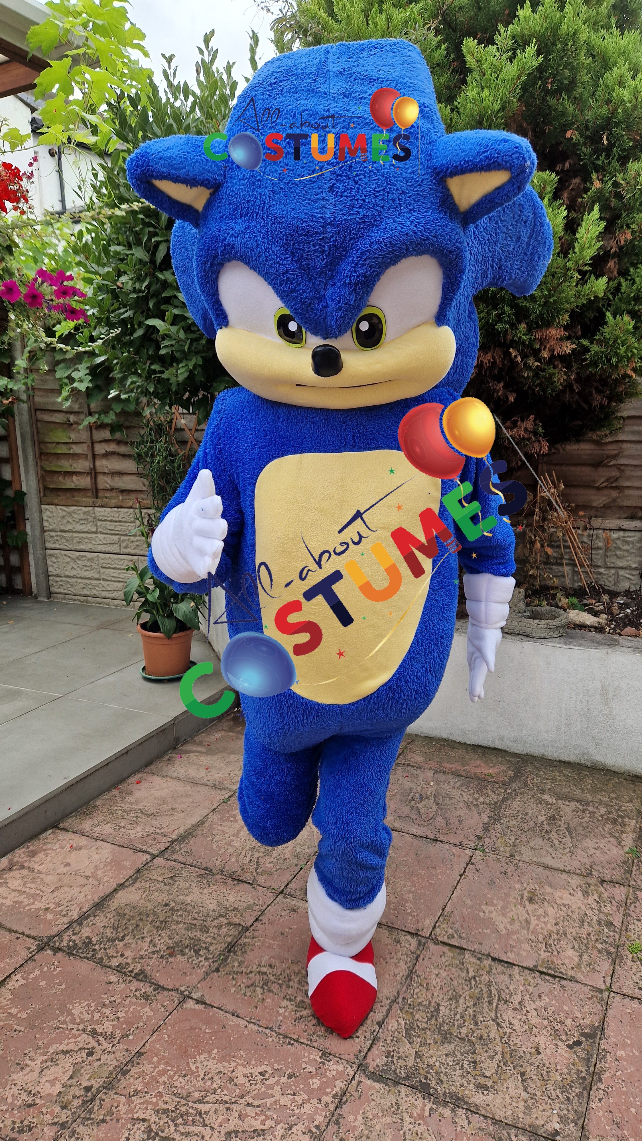 Sonic el erizo Edición limitada