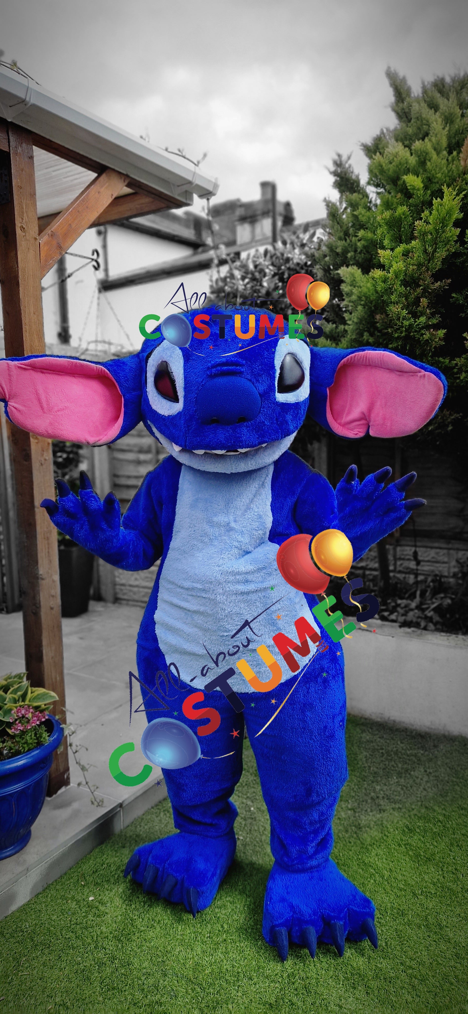 Stitch