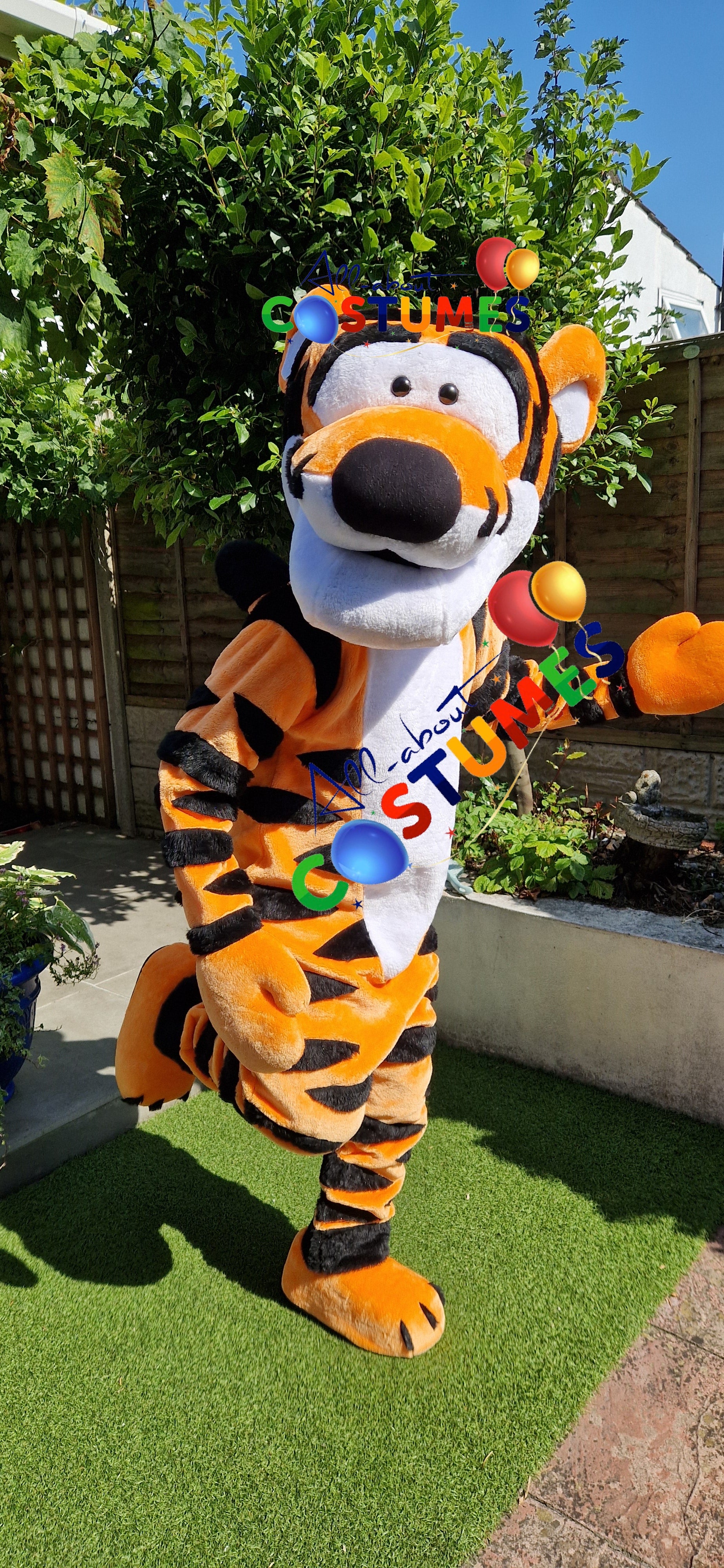 Tigger Winnie the Pooh Bear