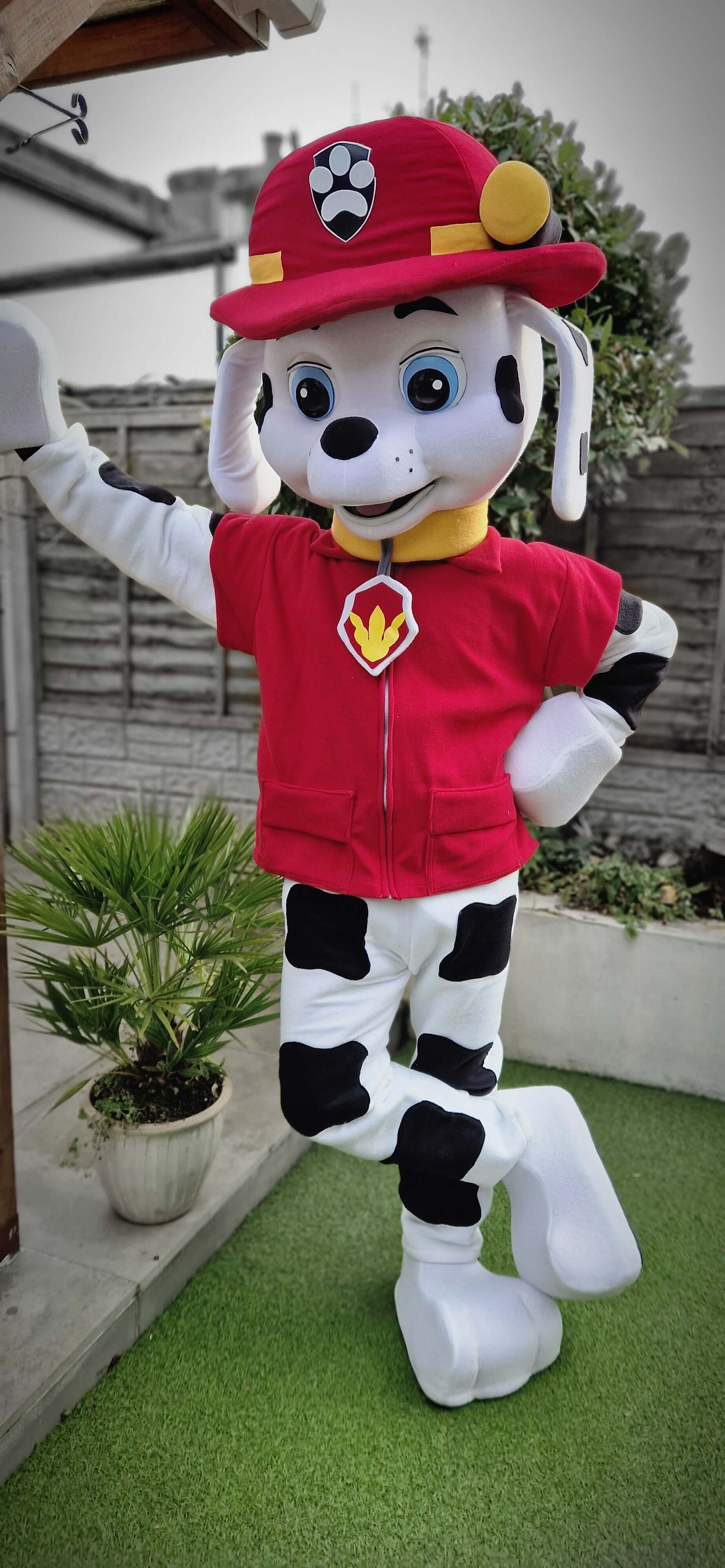 Paw Patrol Marshall with Pink Paws B