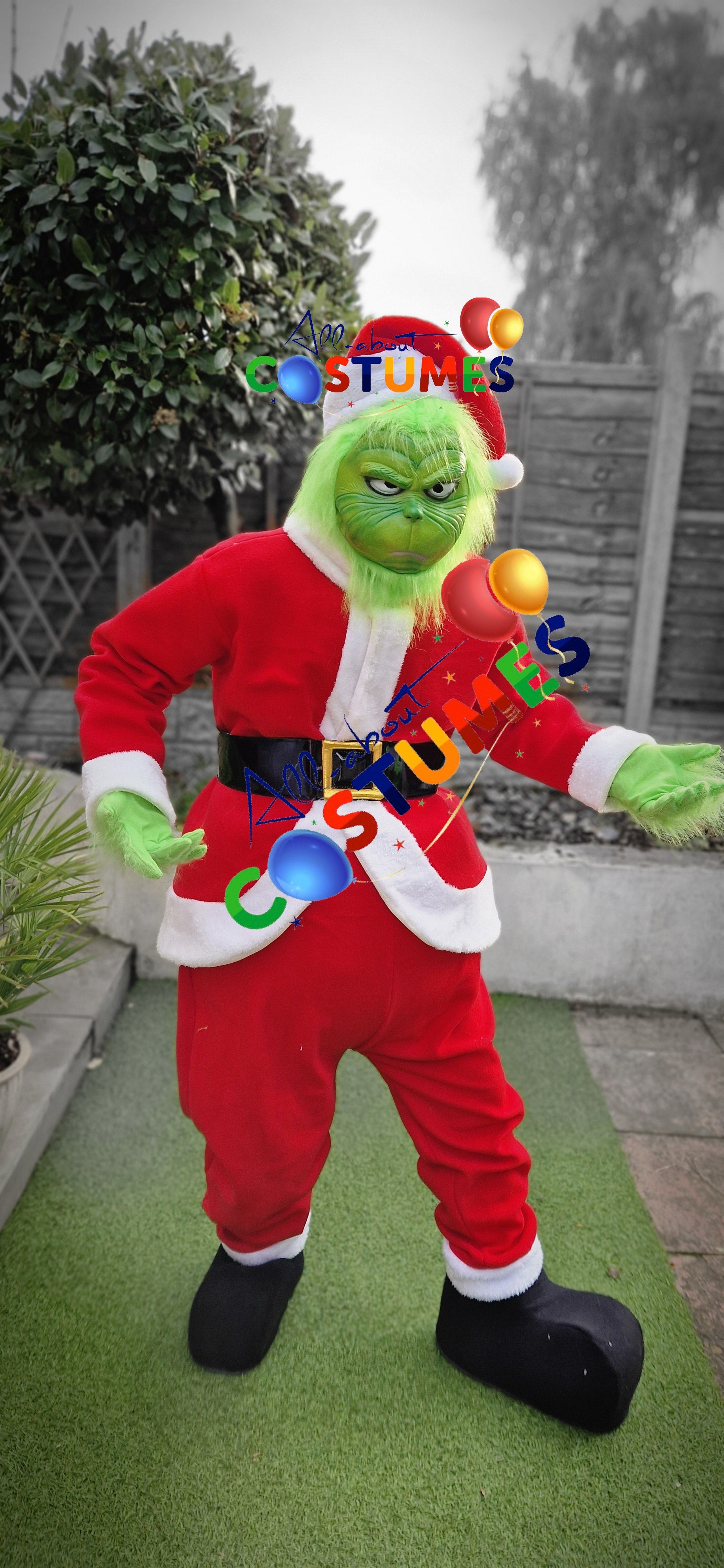 Z Elf en el estante Navidad