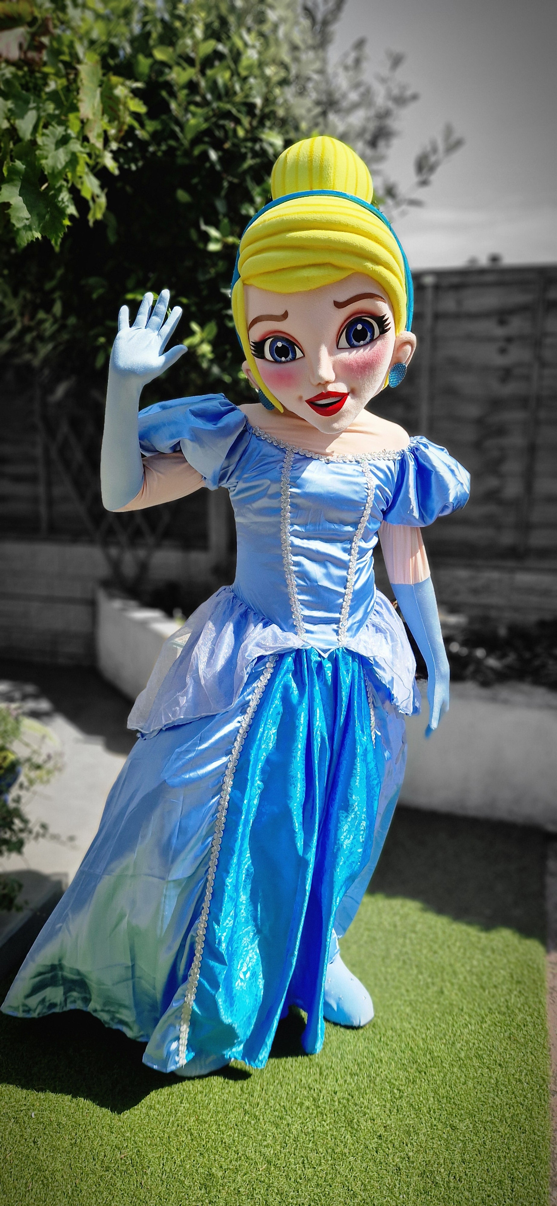 Patrulla Canina Ryder