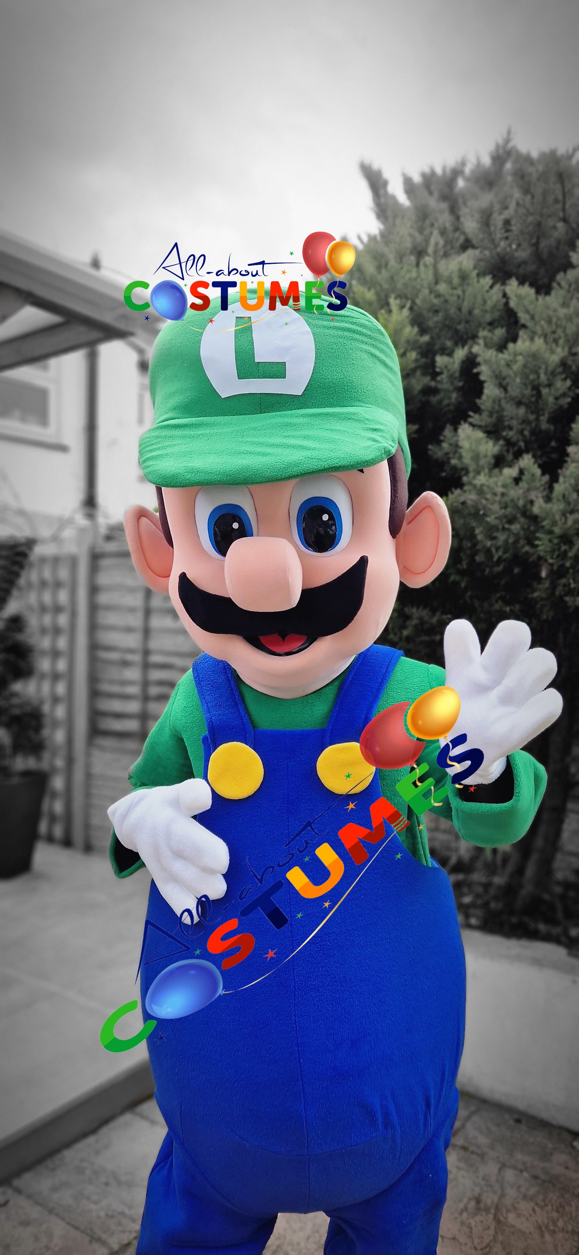 luigi