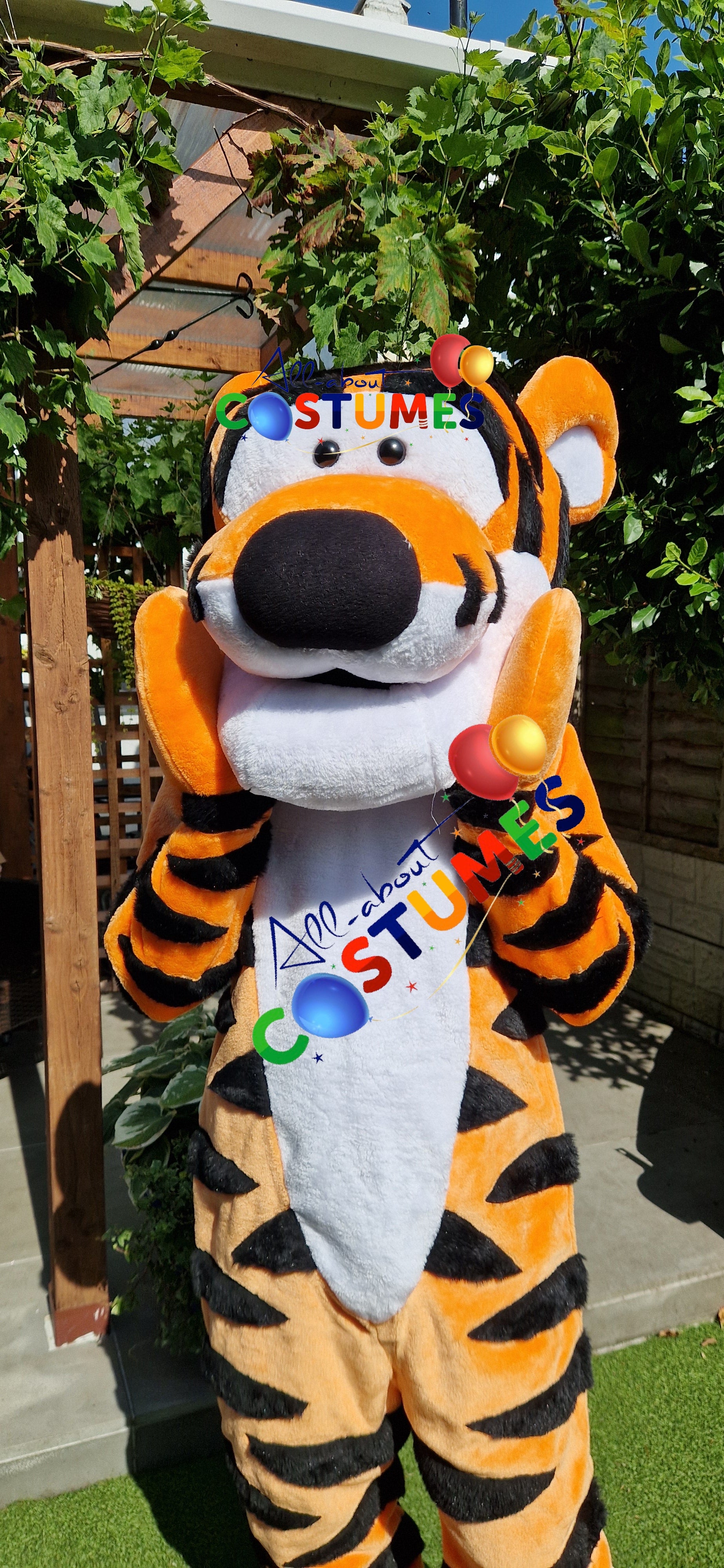 Tigger Winnie the Pooh Bear