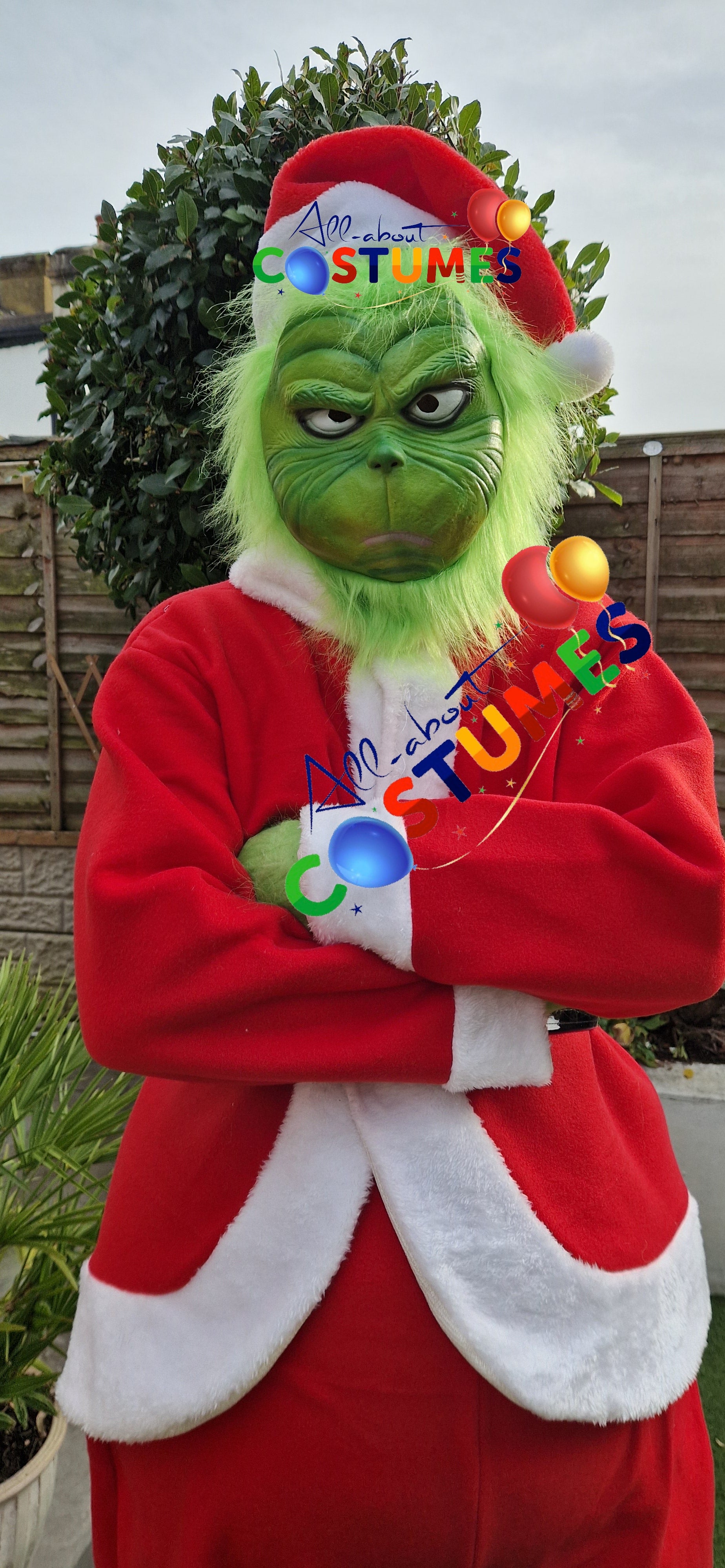 Z Elf en el estante Navidad