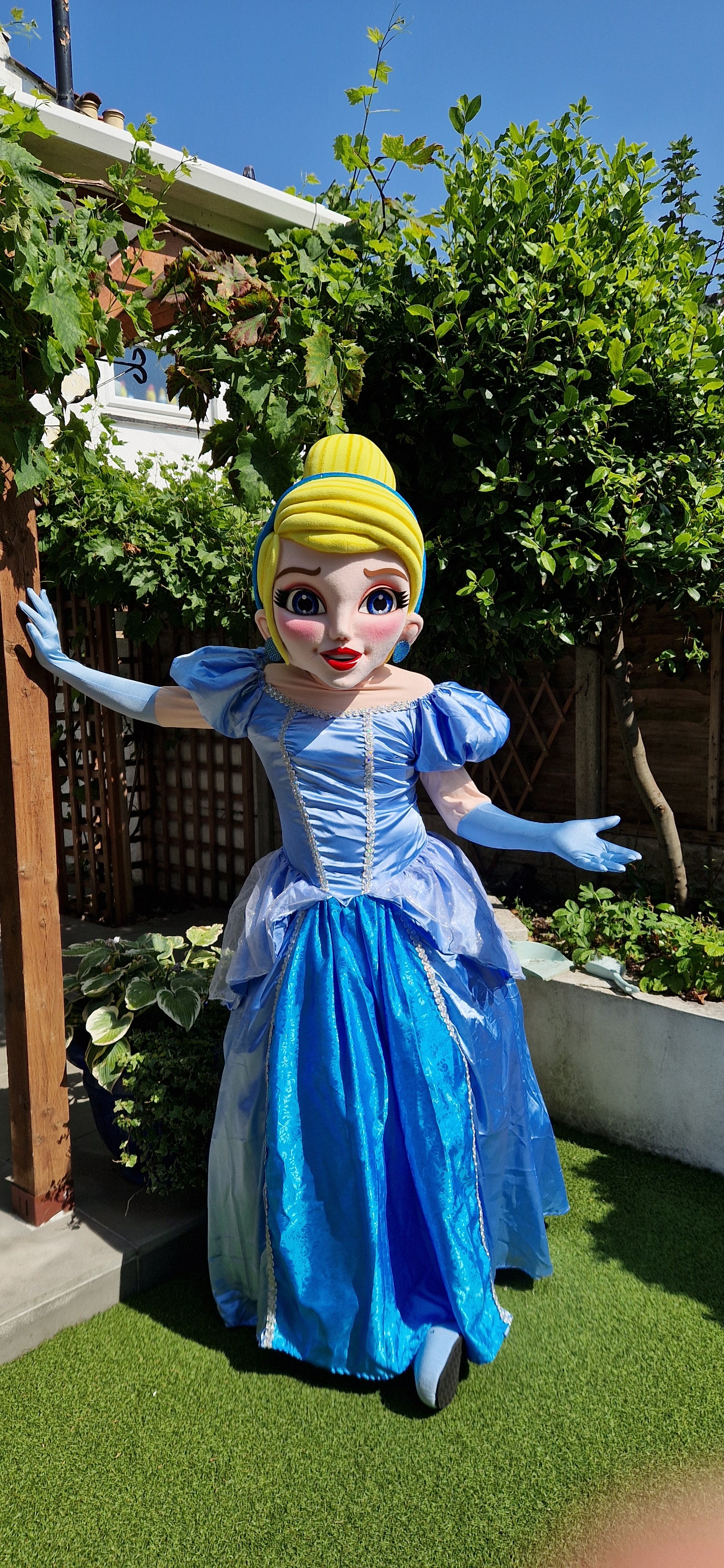 Patrulla Canina Ryder