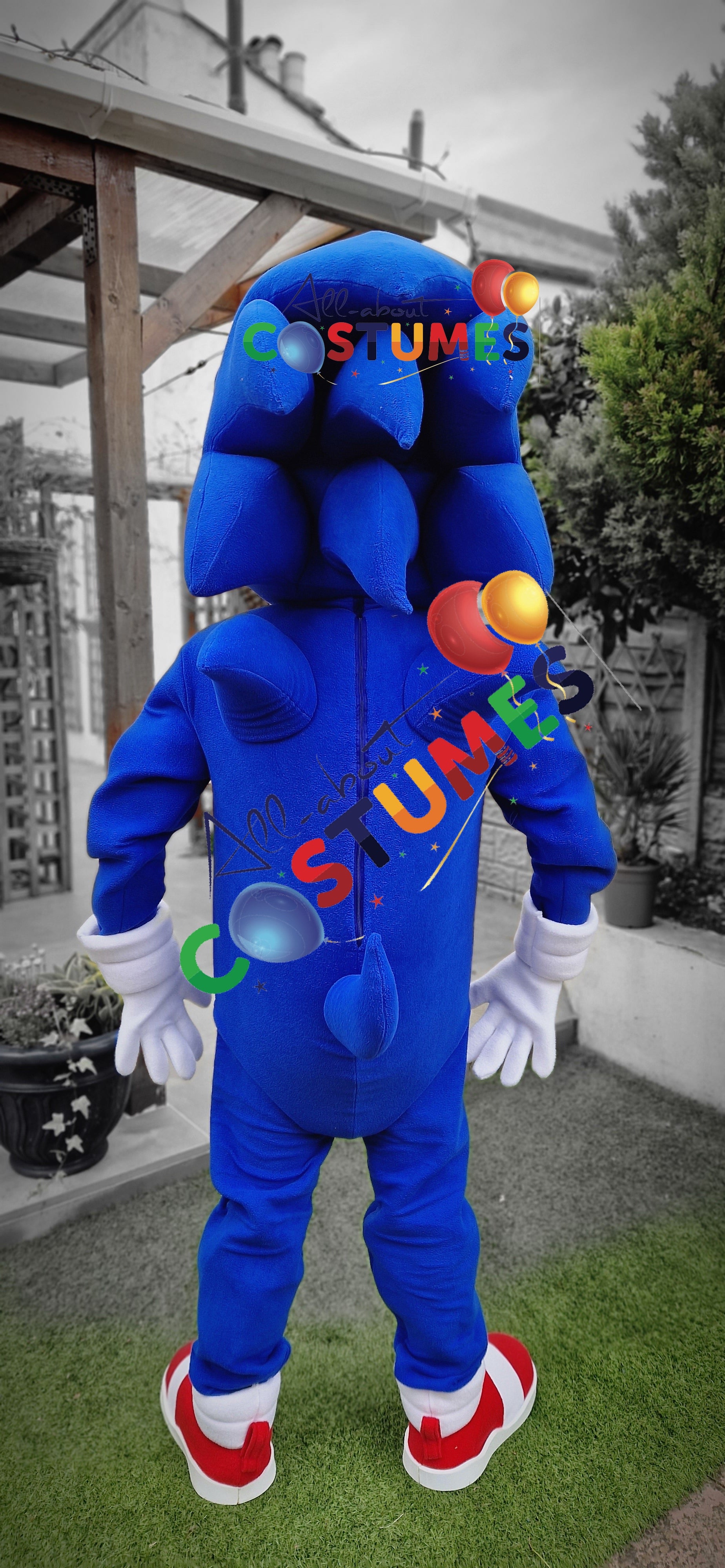 Sonic rápido de lujo