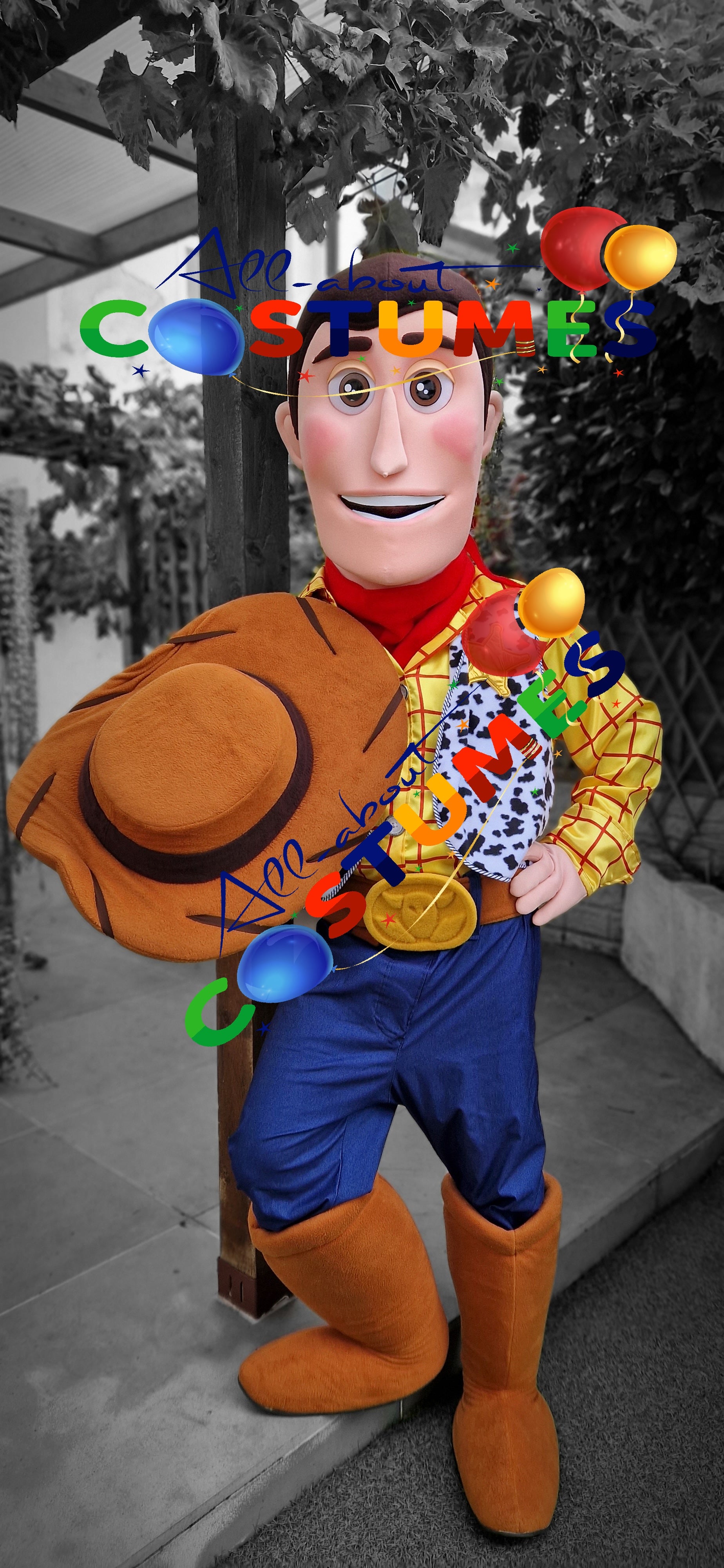 Toy Story Woody