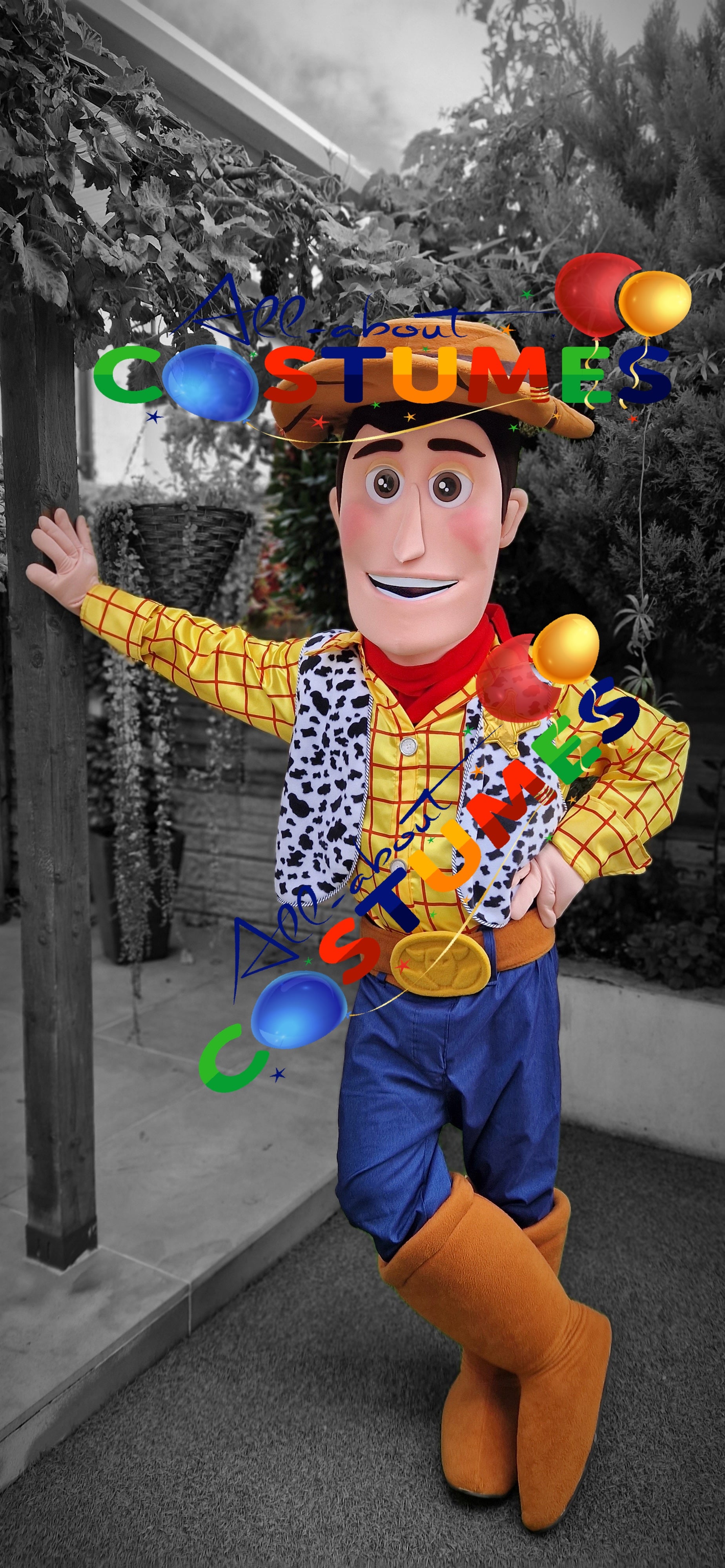 Toy Story Woody