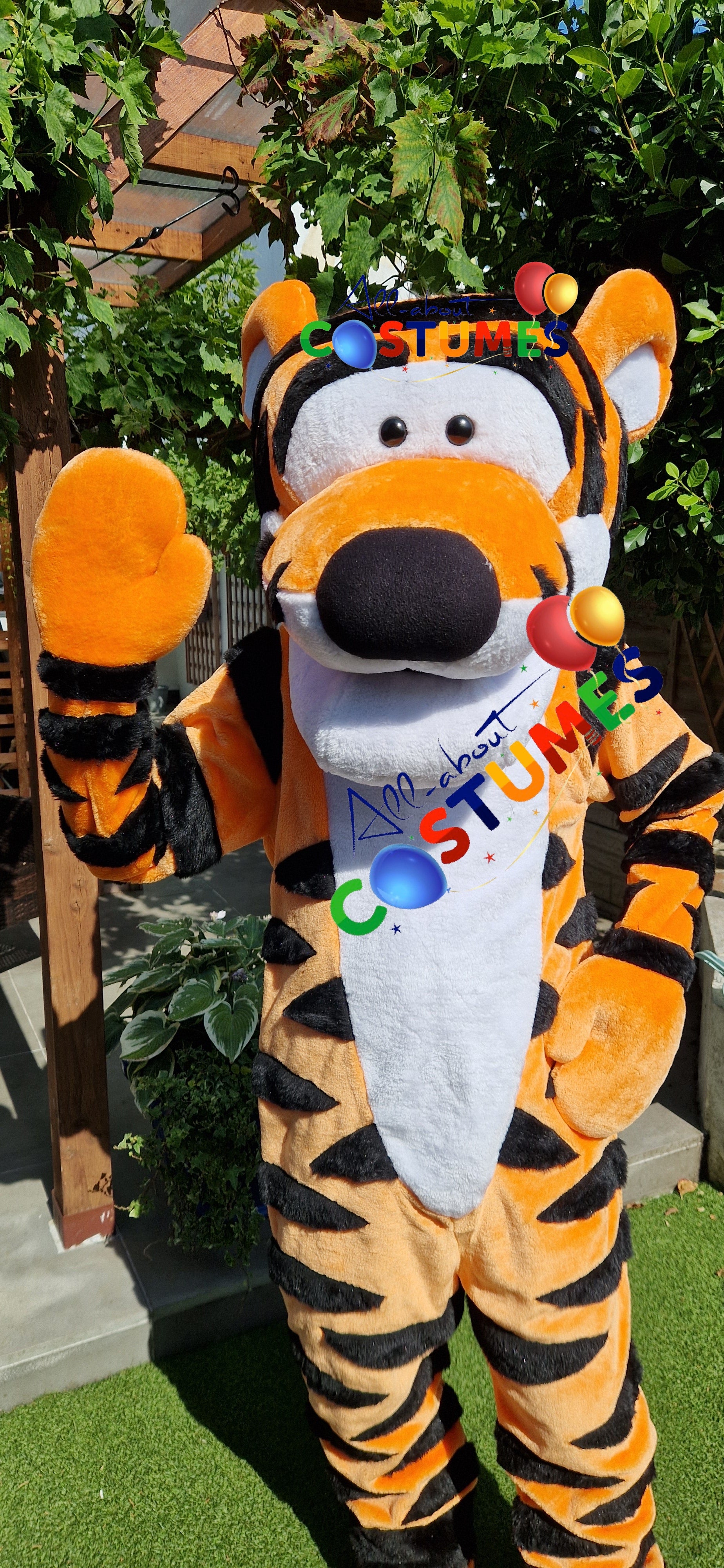 Tigger Winnie the Pooh Bear