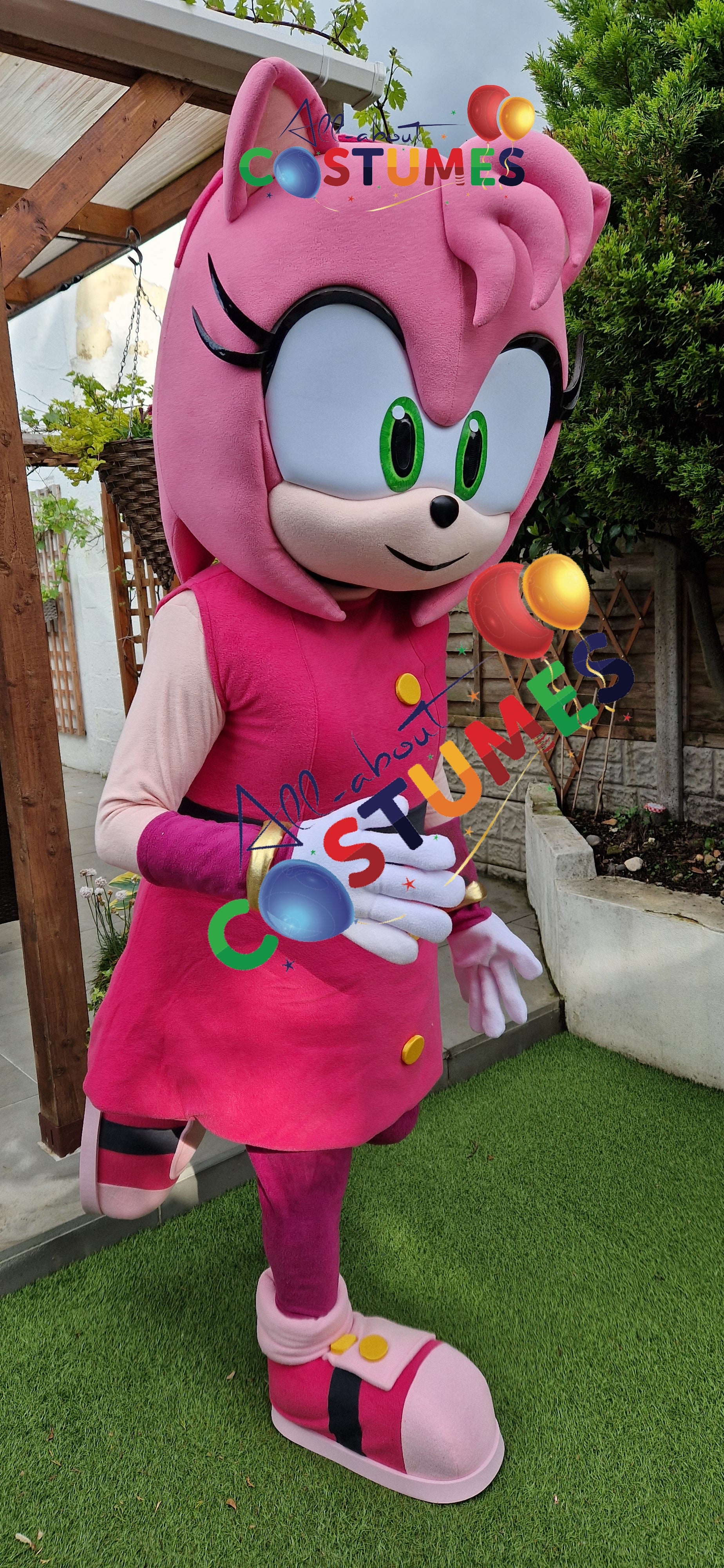Amy Rose Sonic X