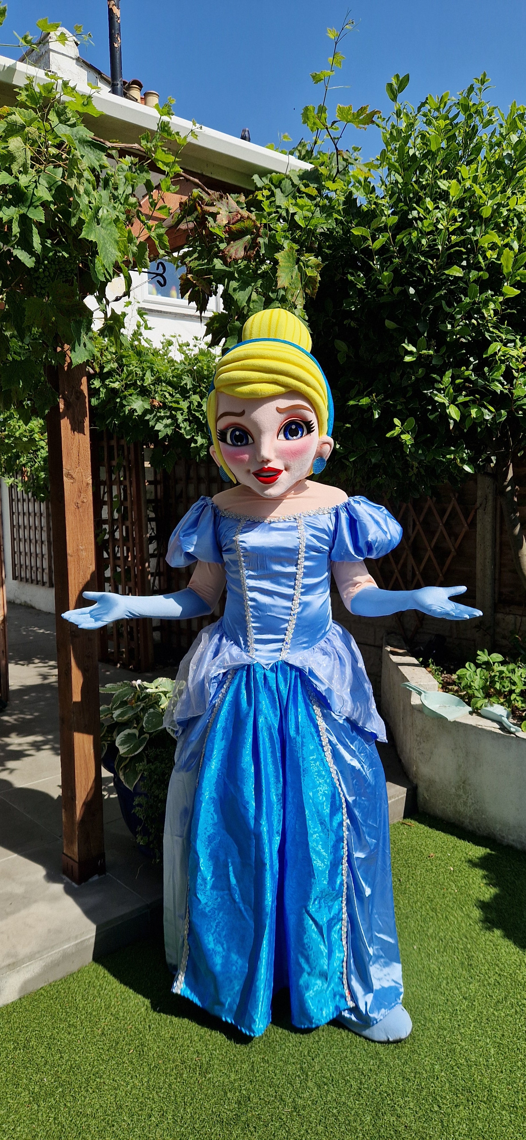 Patrulla Canina Ryder