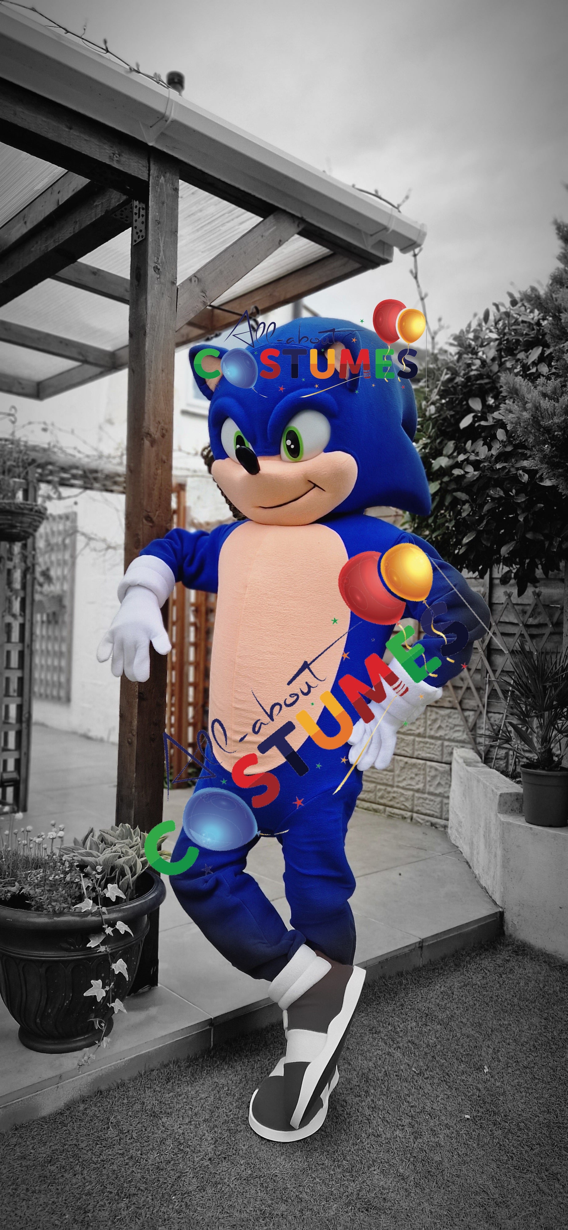 Sonic rápido de lujo