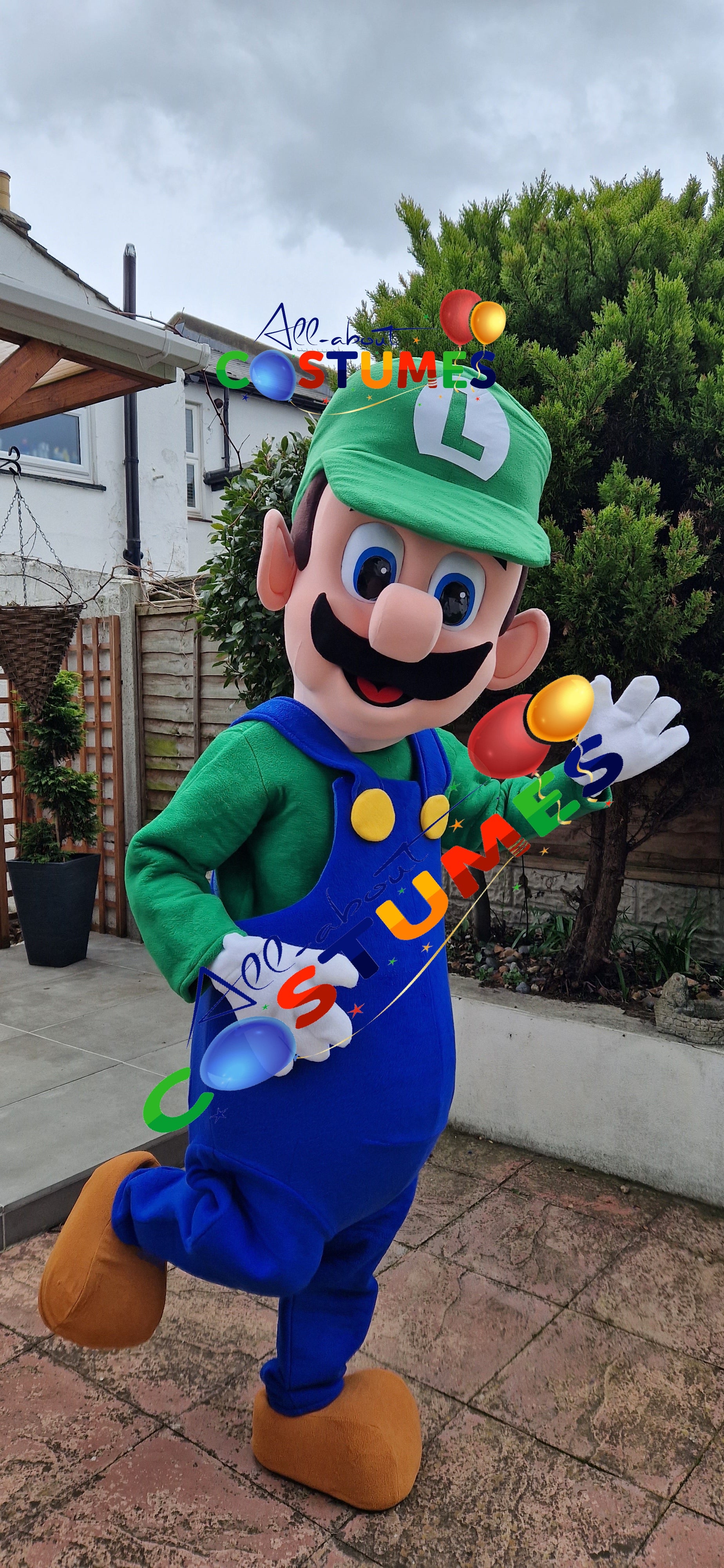 luigi