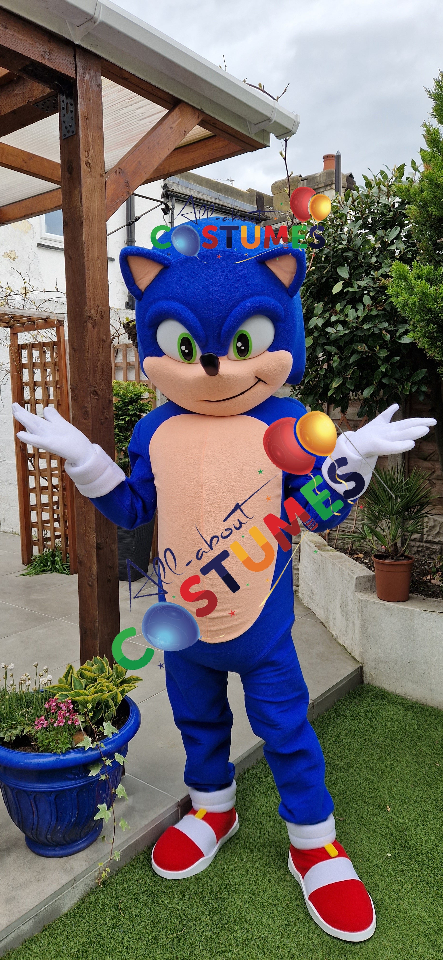 Sonic rápido de lujo
