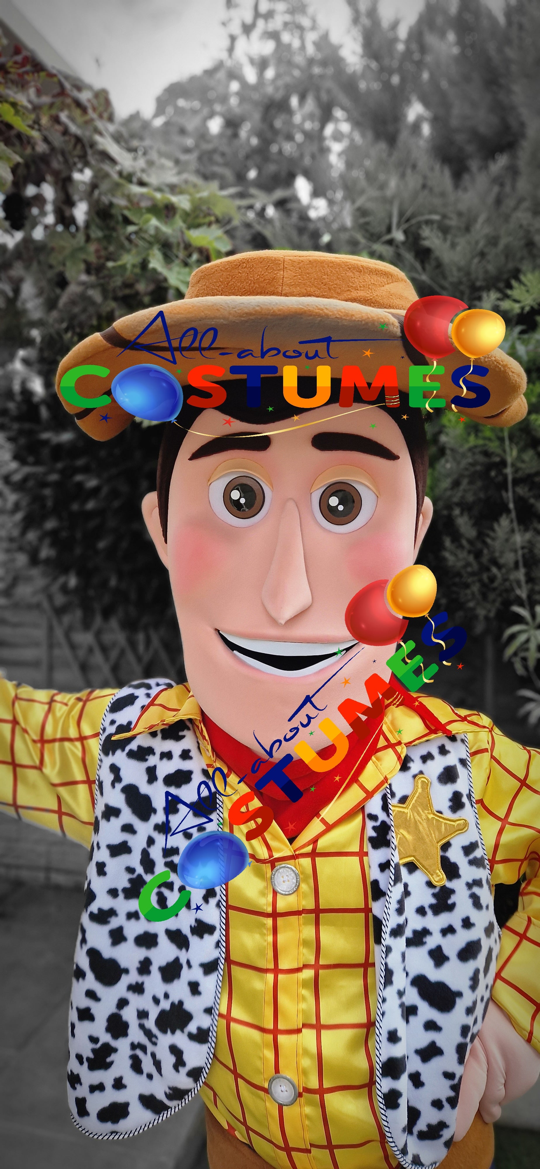 Toy Story Woody