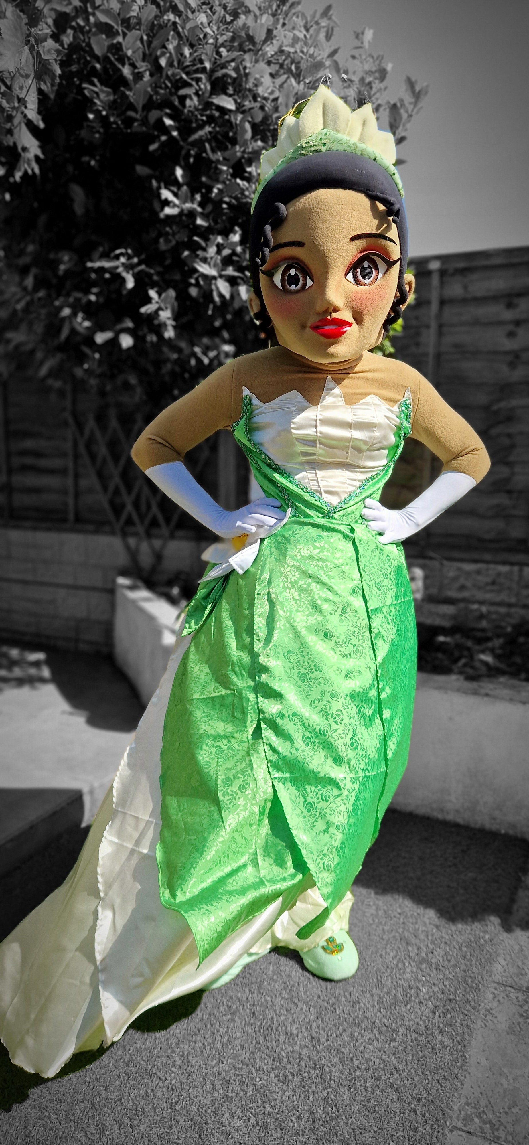 Patrulla Canina Ryder